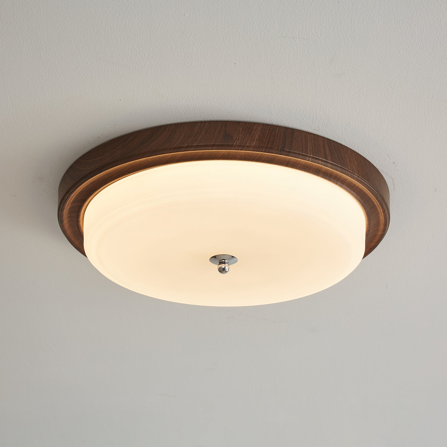 Omisvelle Ceiling Light
