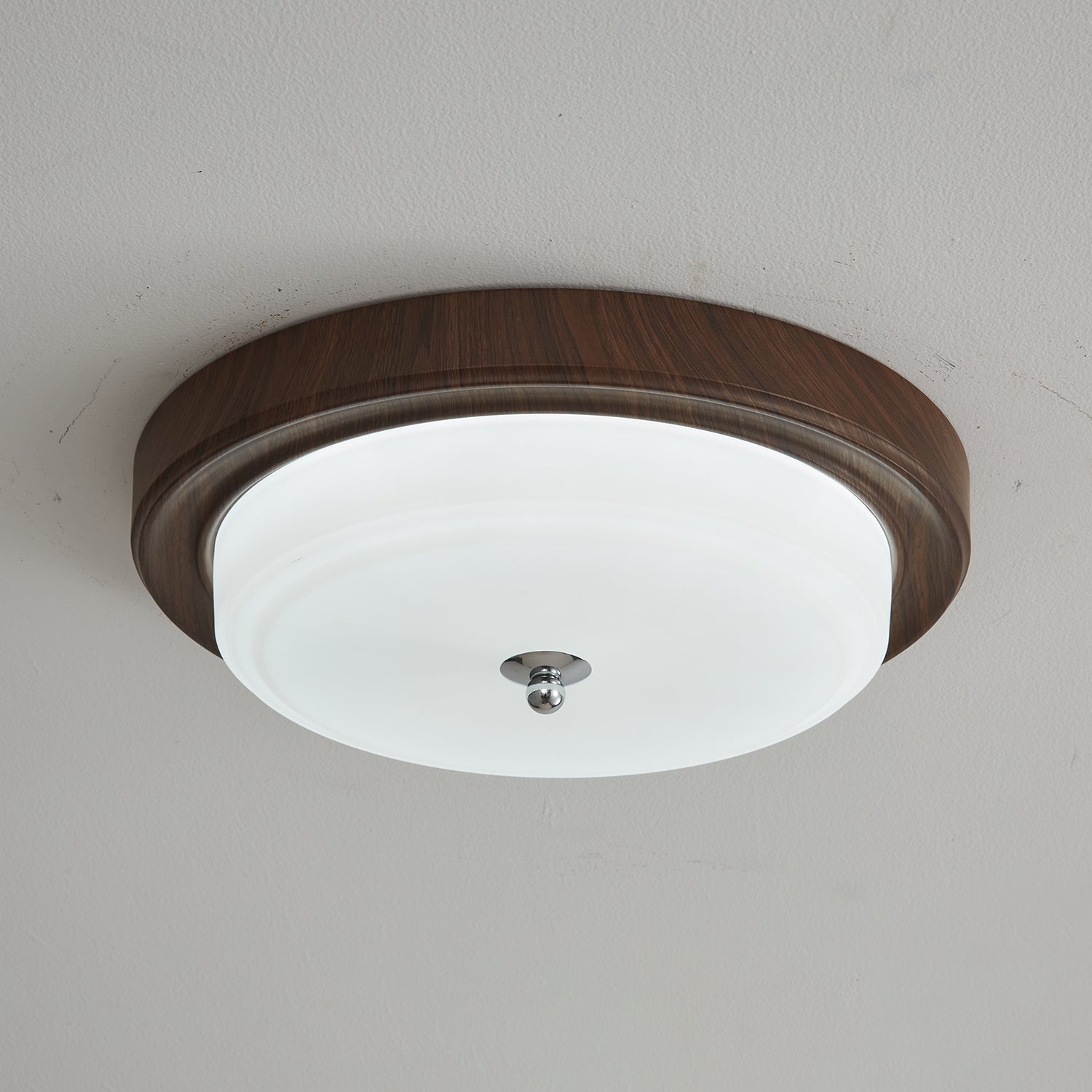 Omisvelle Ceiling Light