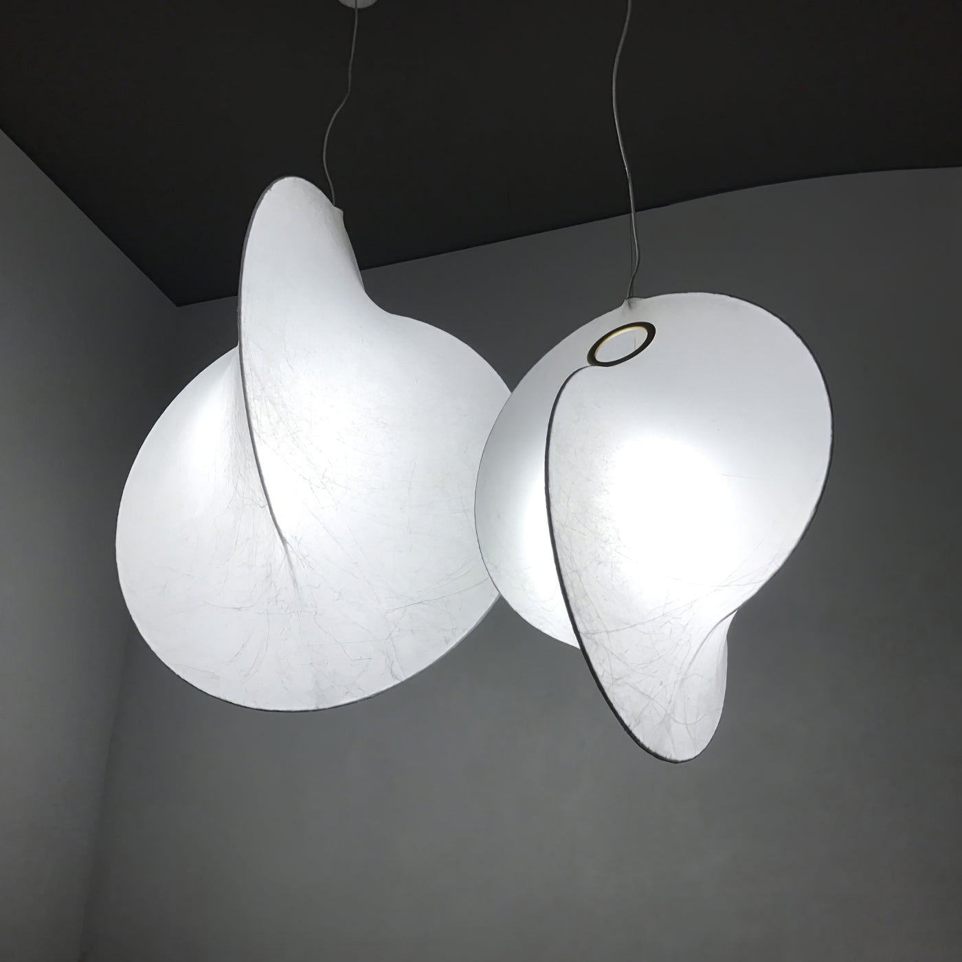 Cocazu Pendant Light