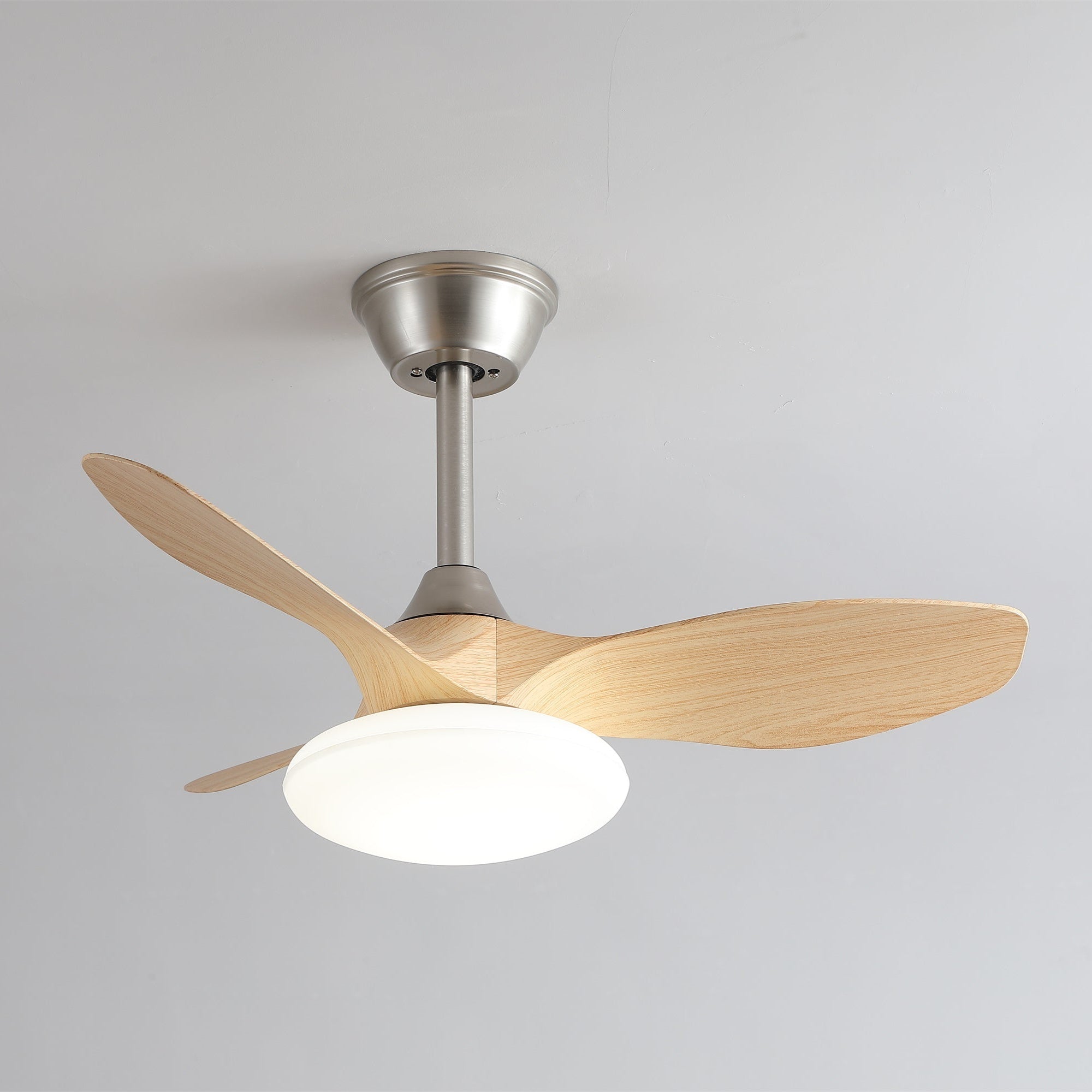 Zerinn Ceiling Fan