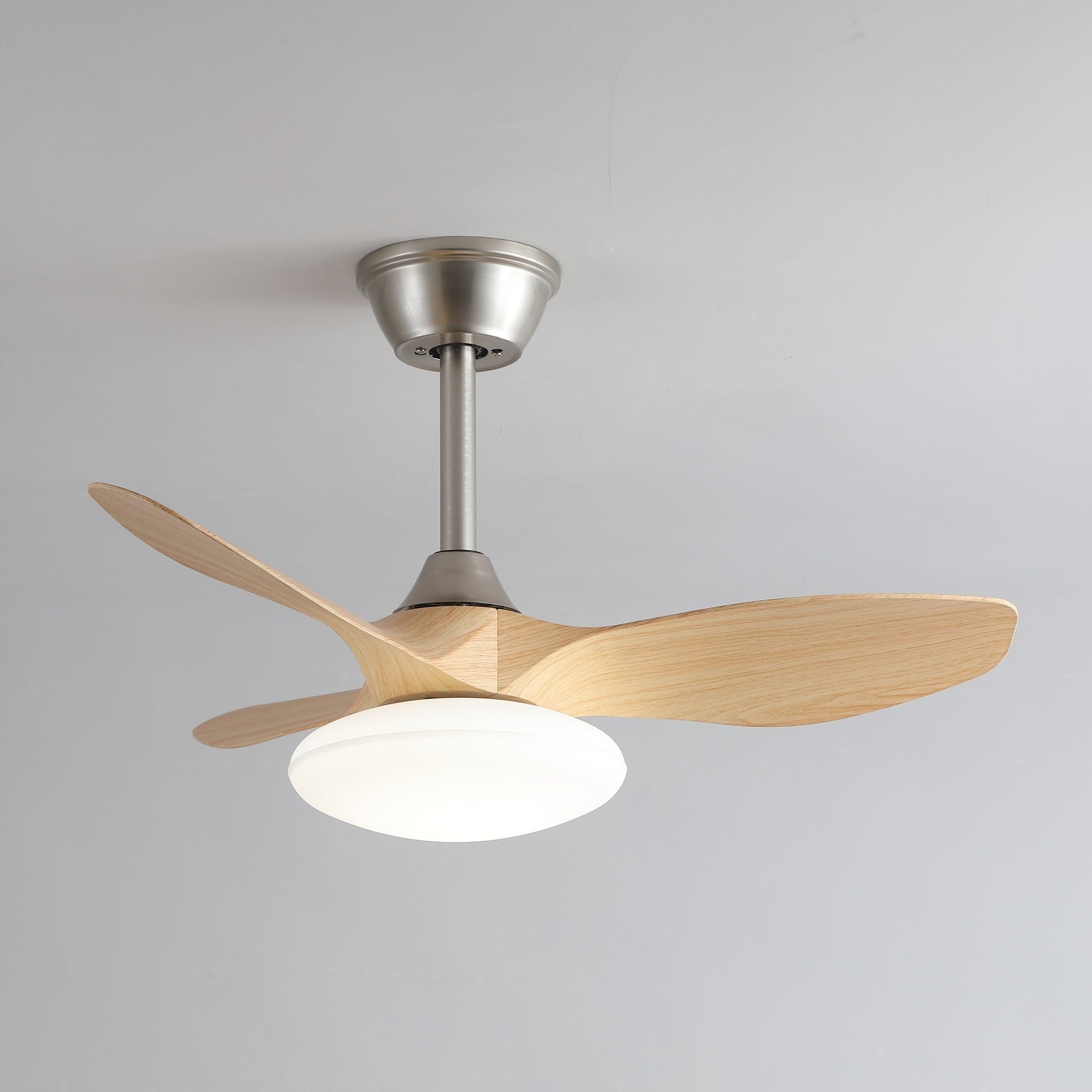Zerinn Ceiling Fan