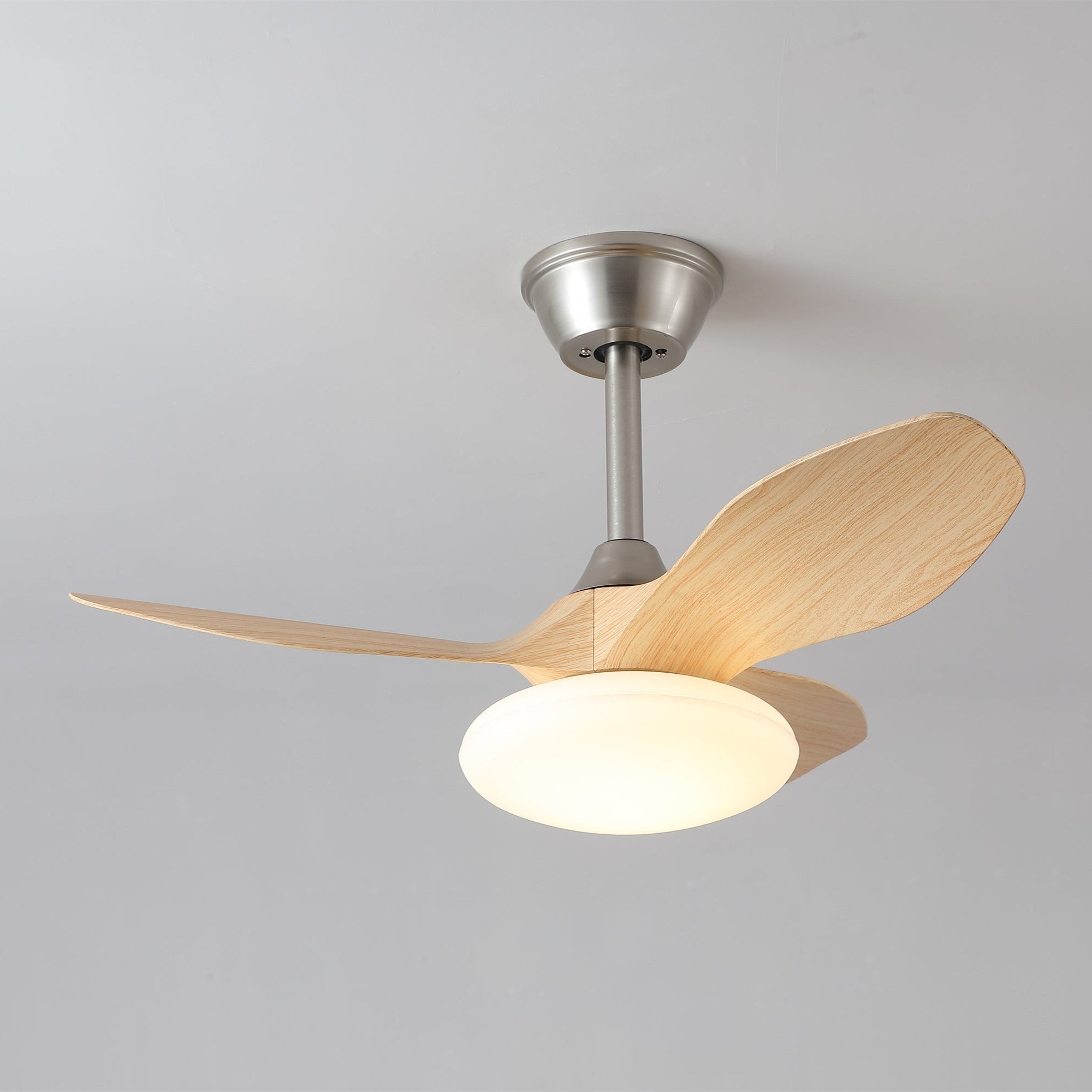 Zerinn Ceiling Fan