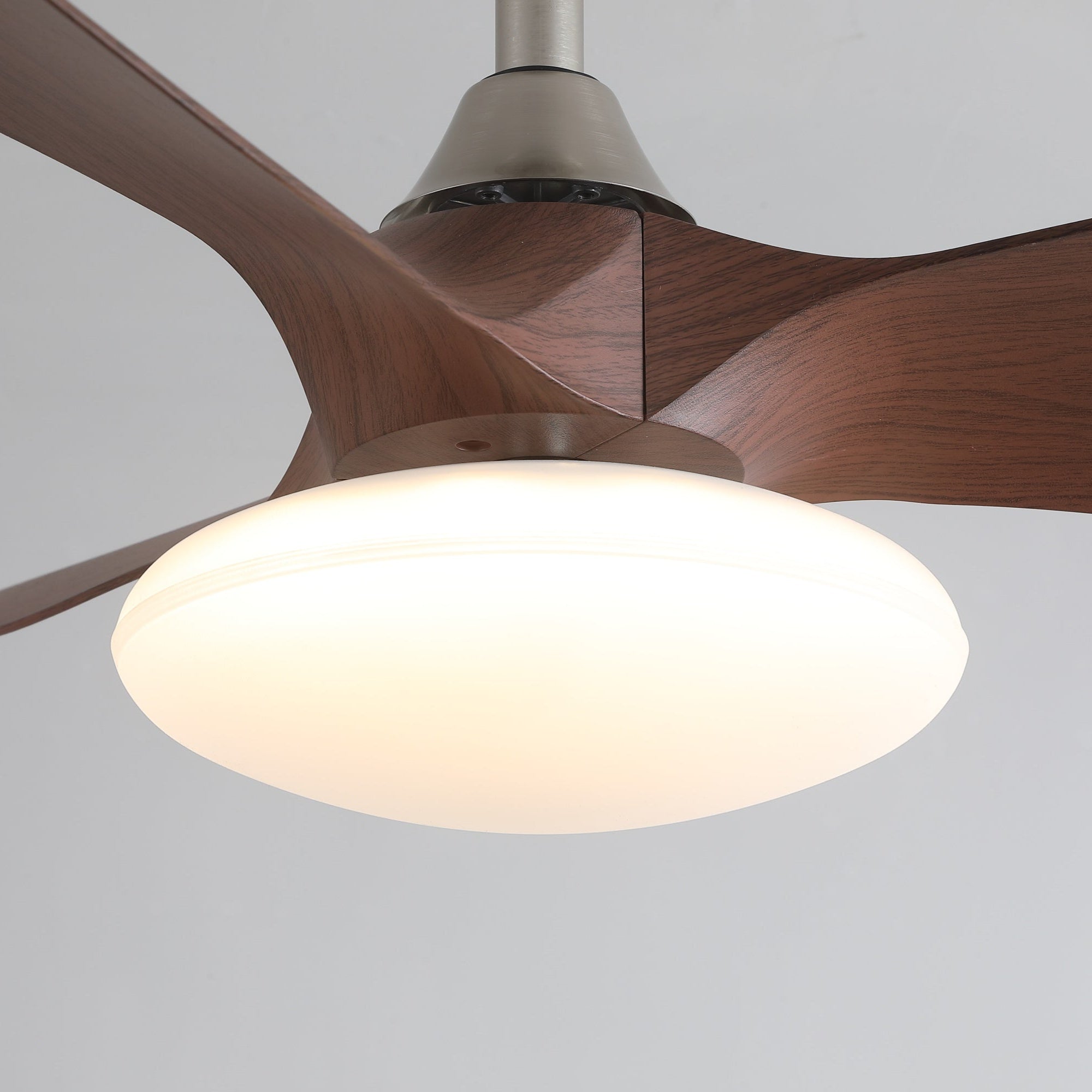 Zerinn Ceiling Fan