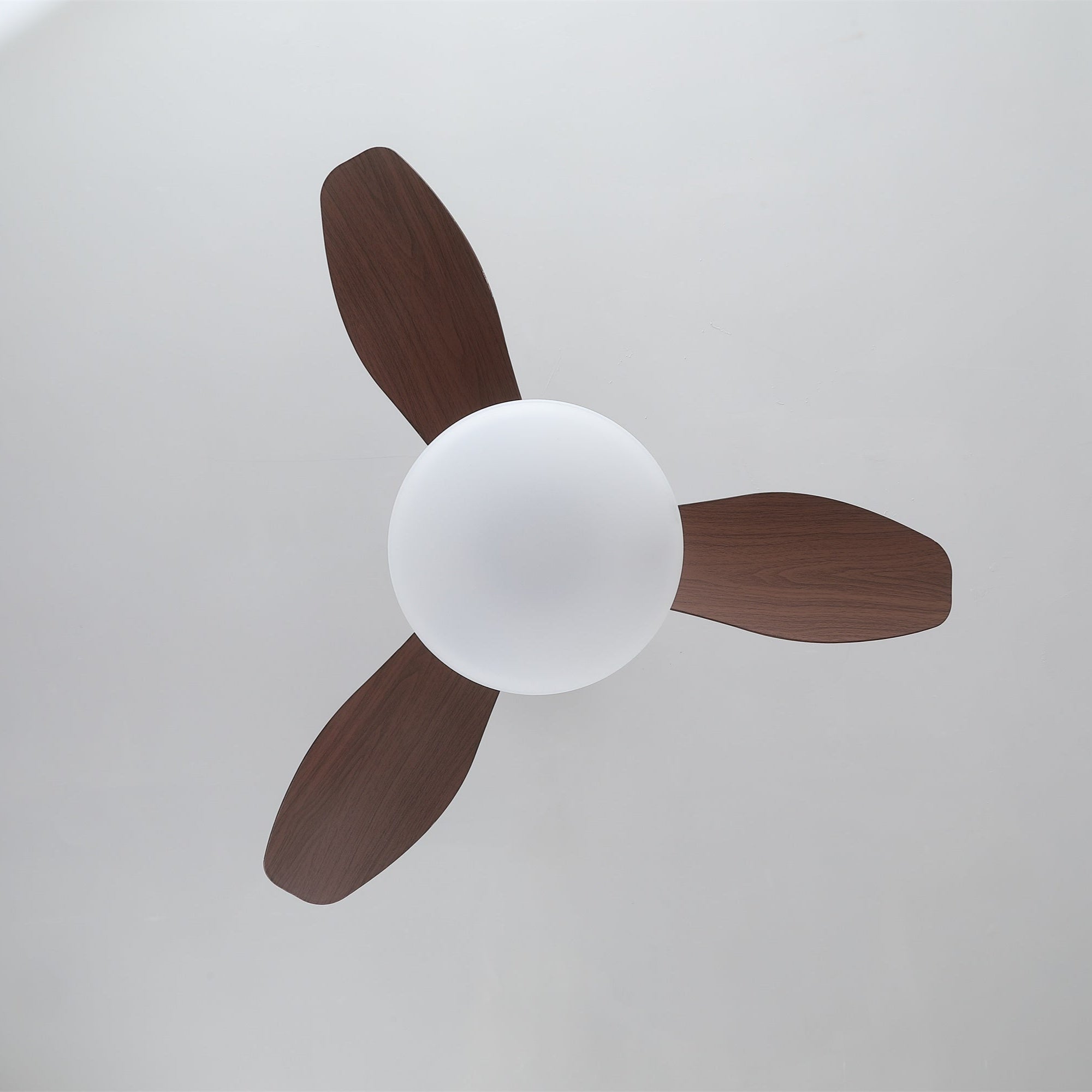 Zerinn Ceiling Fan