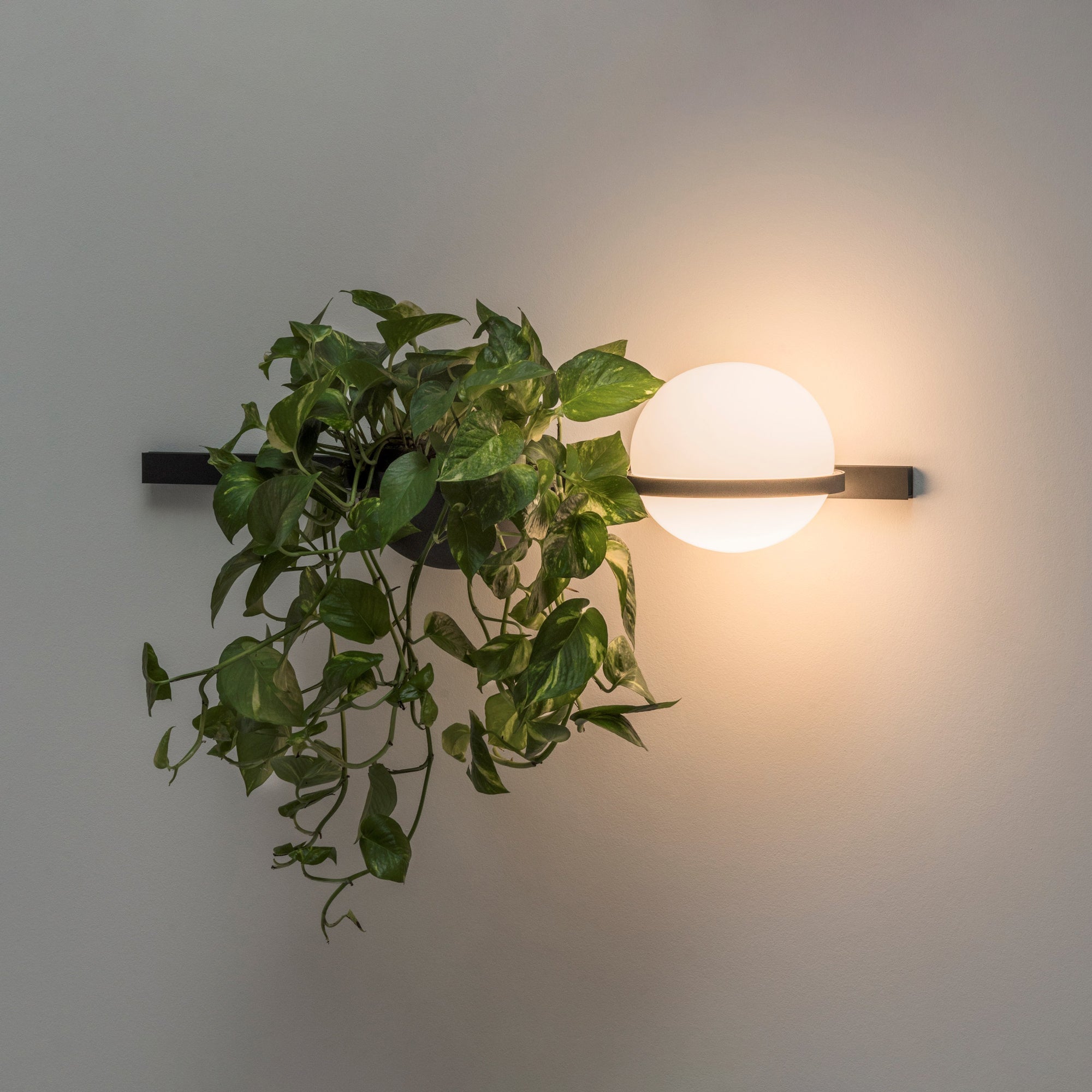 Obreso Wall Light