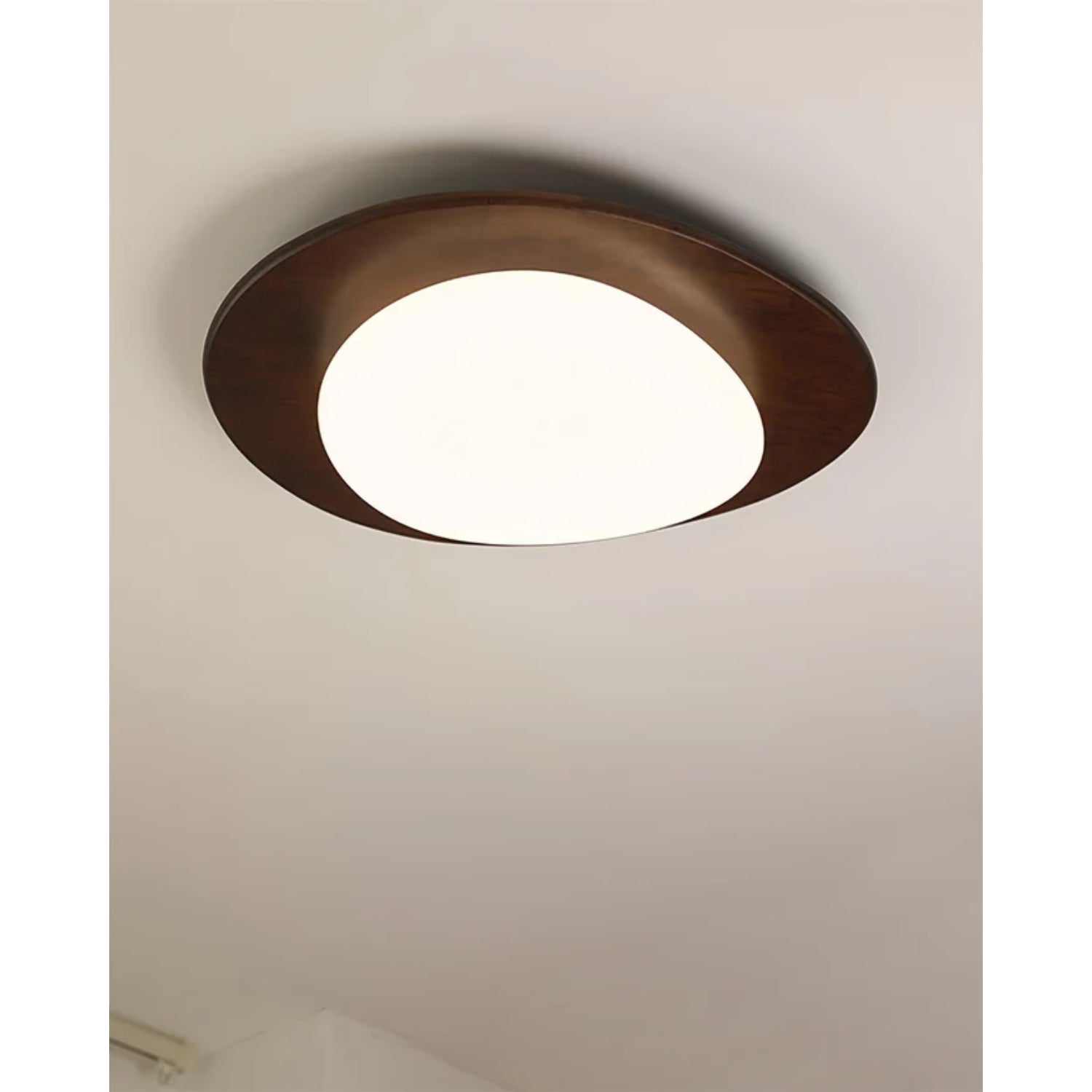 Poleso Ceiling Light
