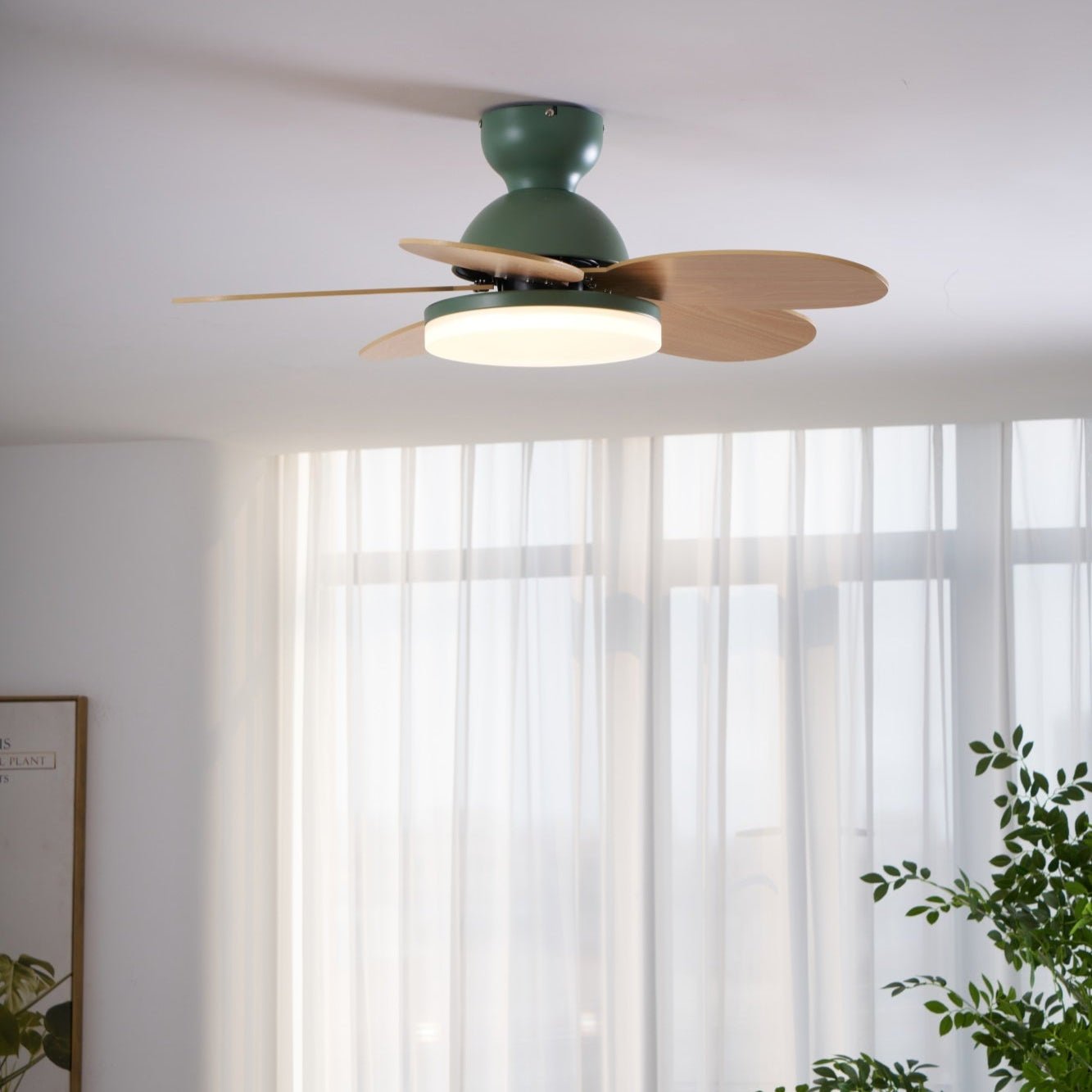 Merrier Ceiling Fan