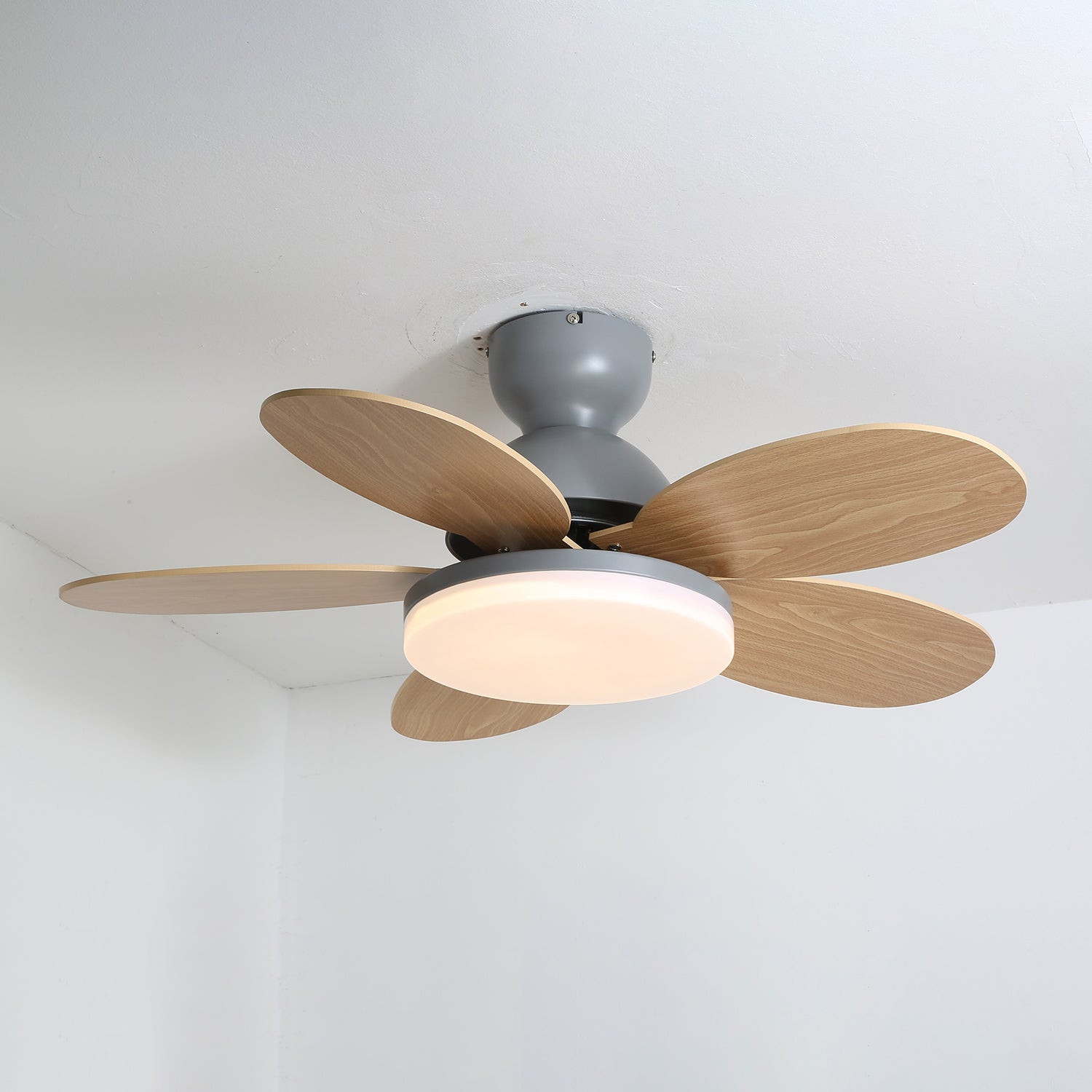 Merrier Ceiling Fan