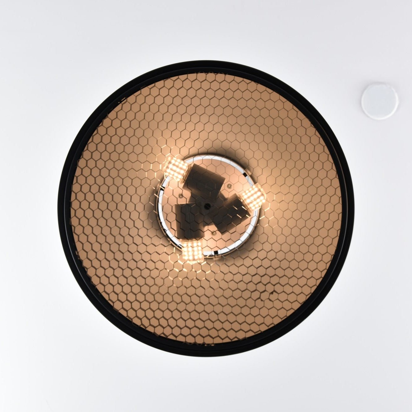 Pogemy Pendant Light