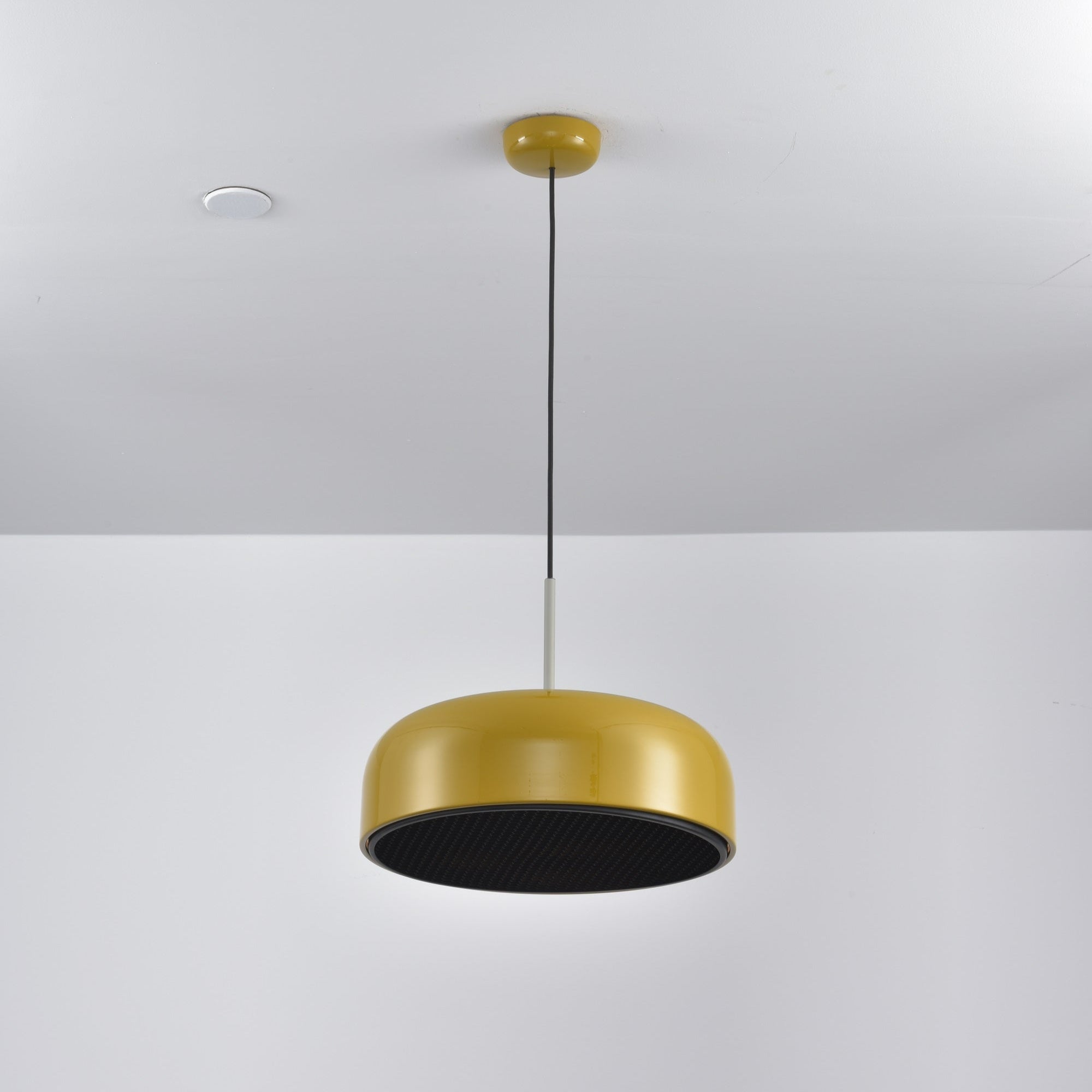 Pogemy Pendant Light