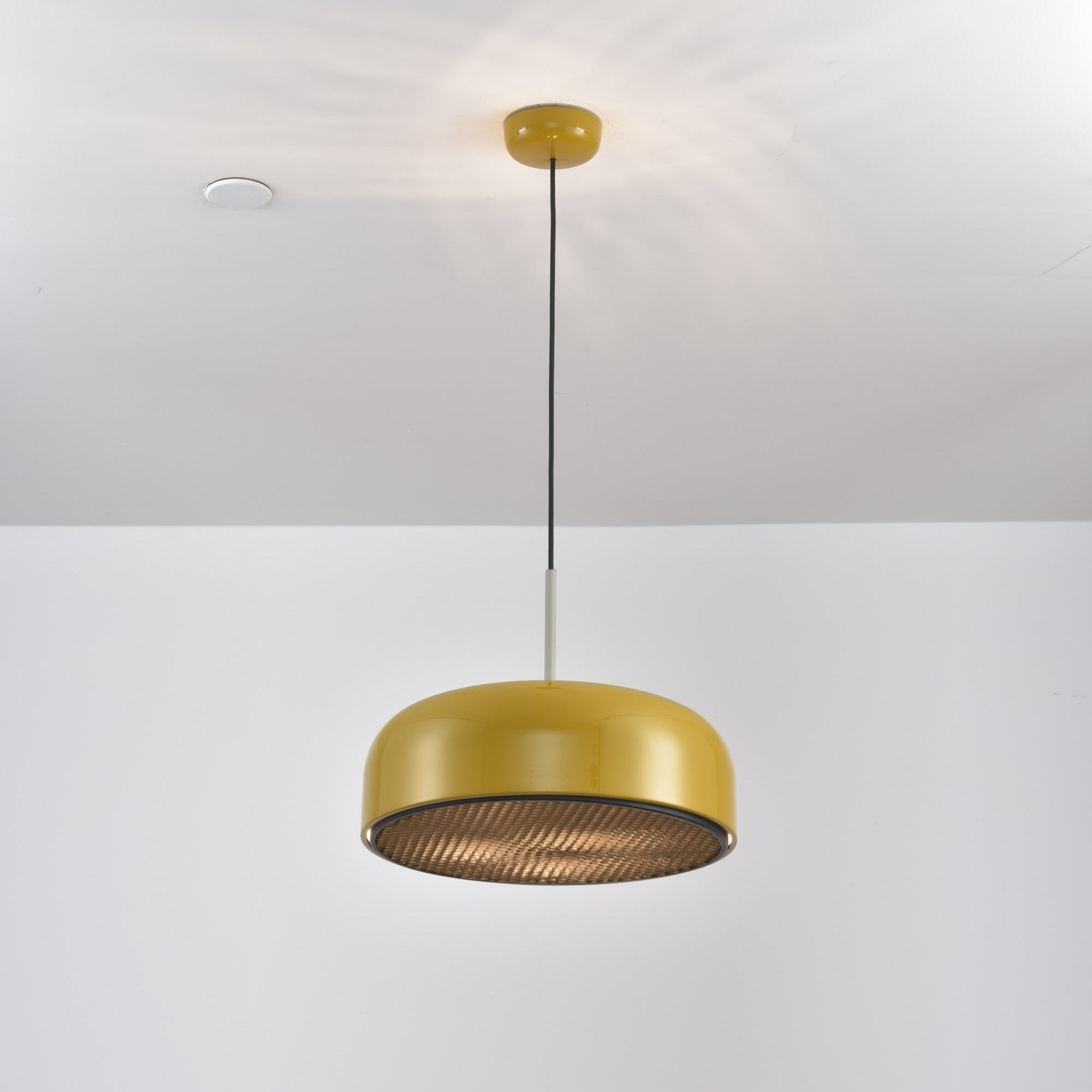 Pogemy Pendant Light