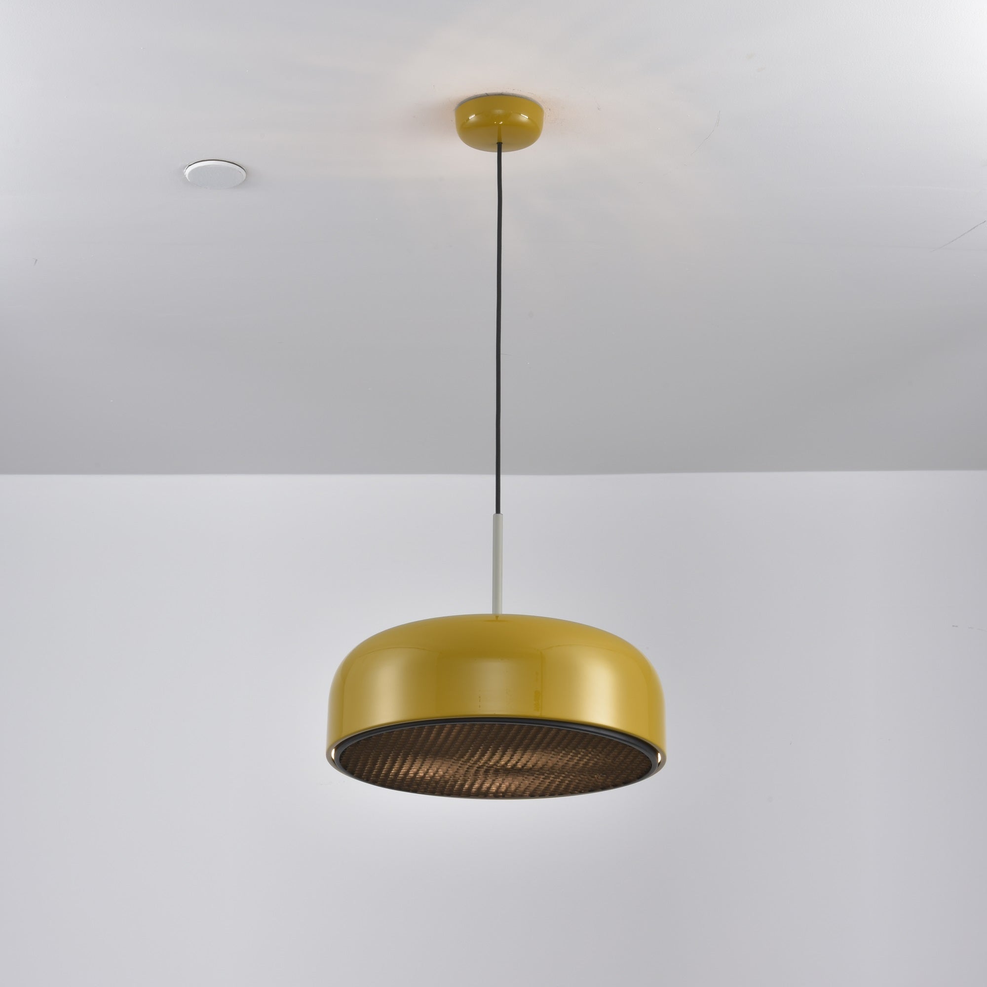 Pogemy Pendant Light