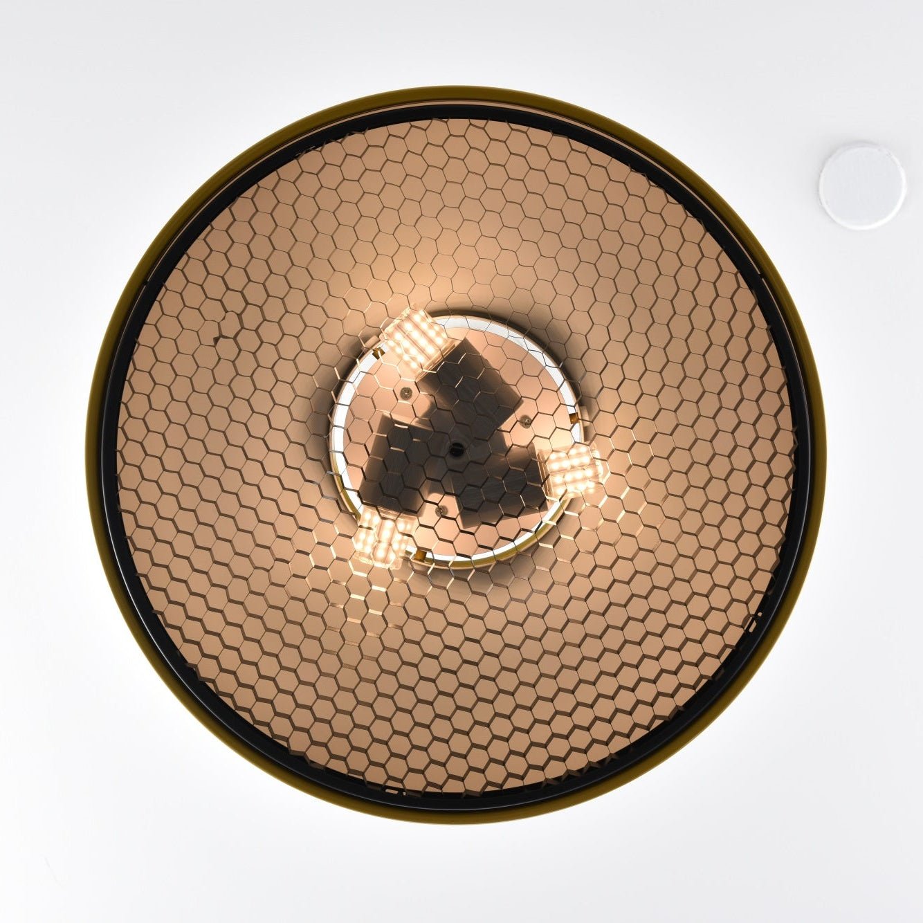 Pogemy Pendant Light