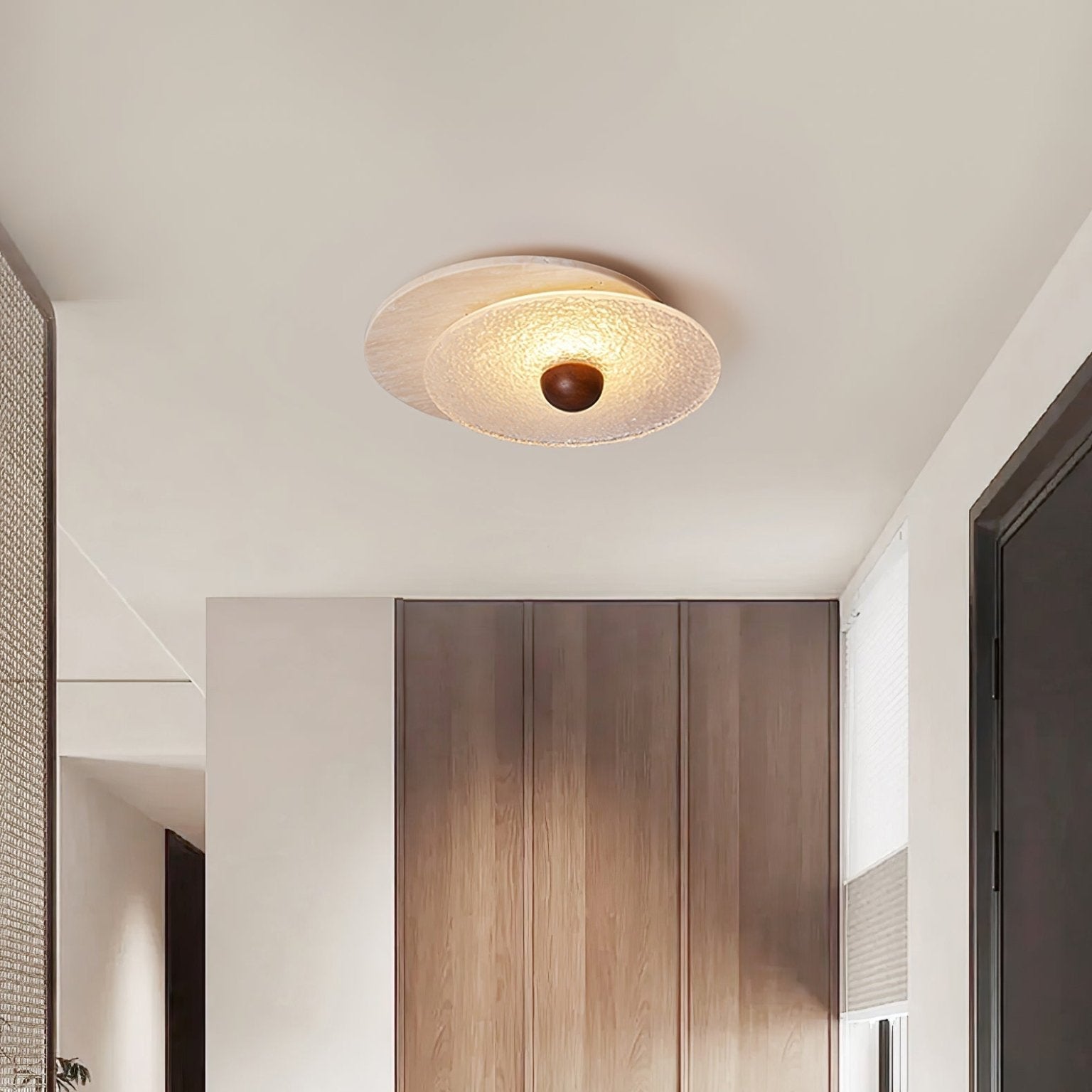 Radiza Double Disc Ceiling Light