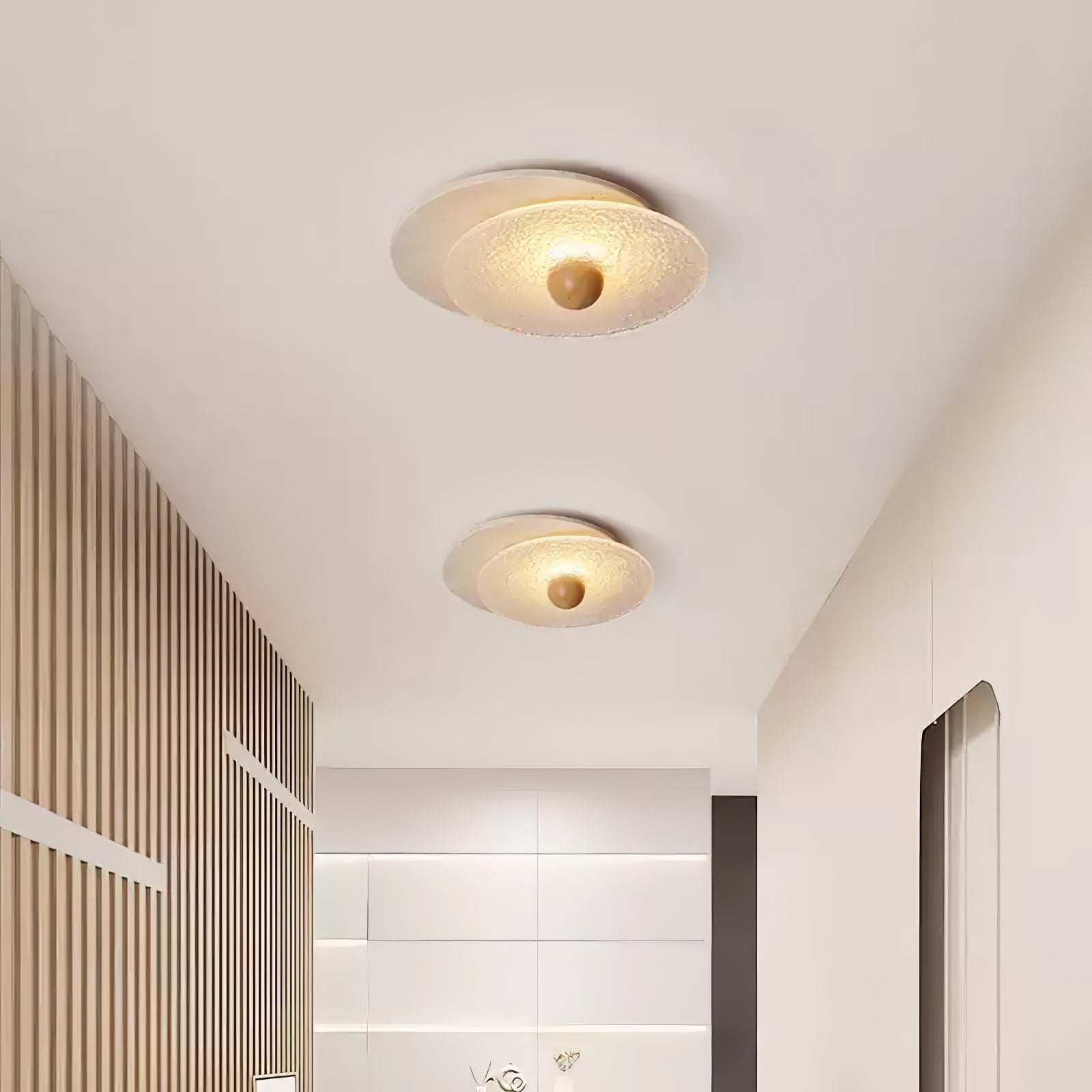 Radiza Double Disc Ceiling Light