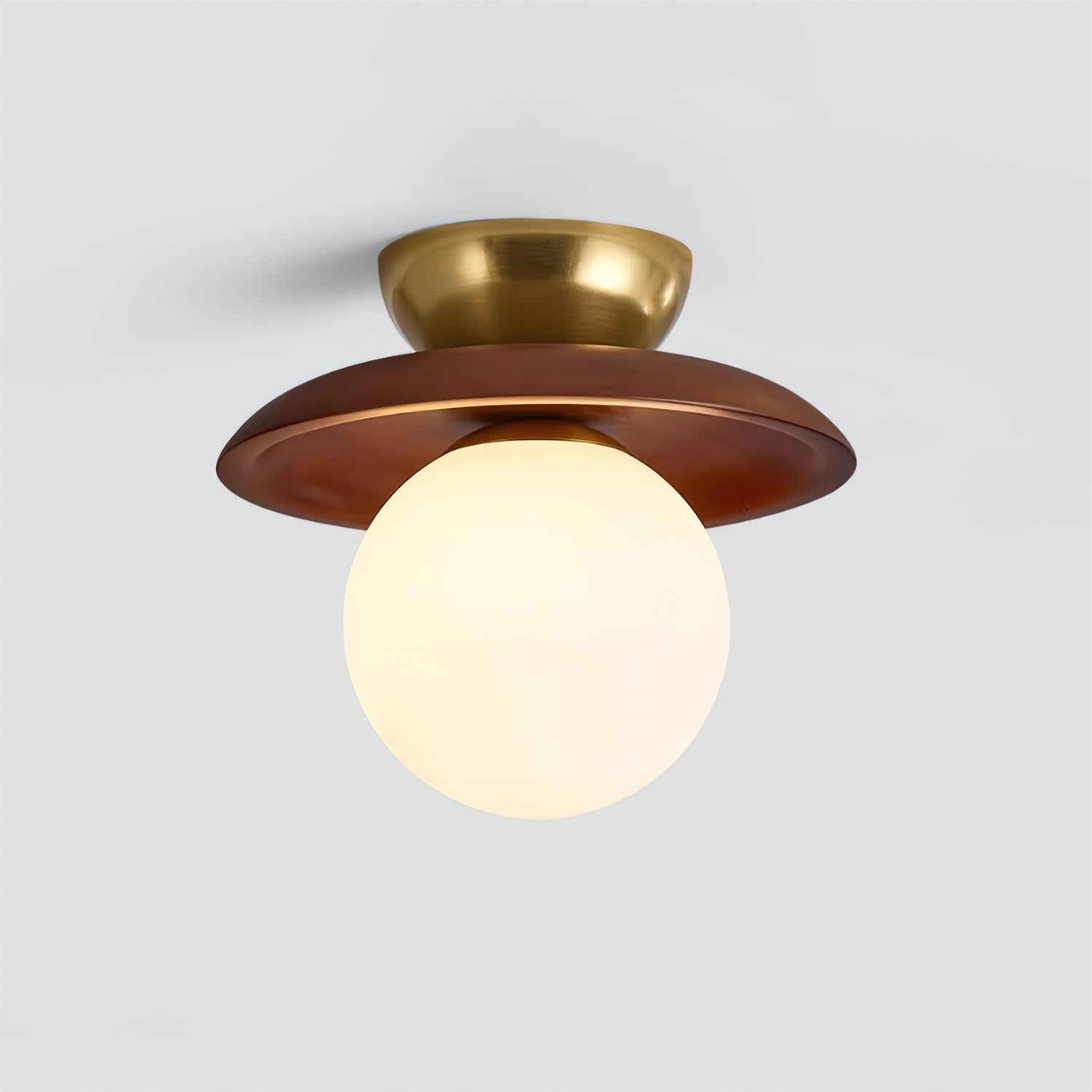 Mocon Ceiling Light