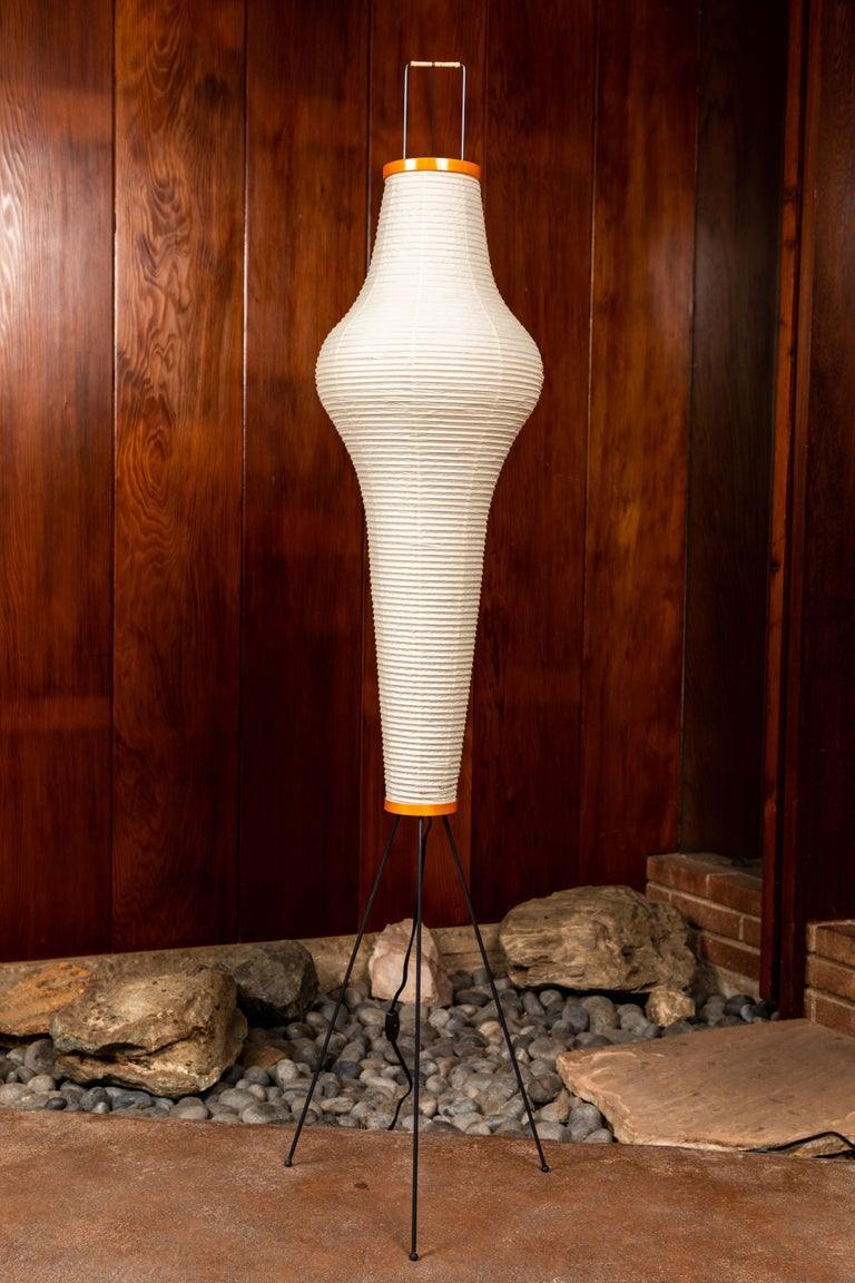 Yariaus Floor Lamp