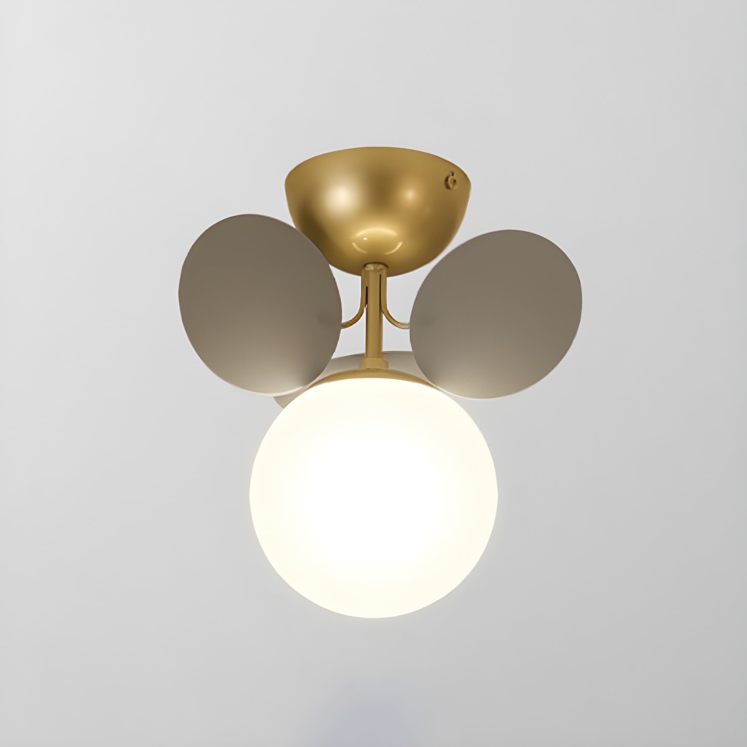 Rojisa Ceiling Light