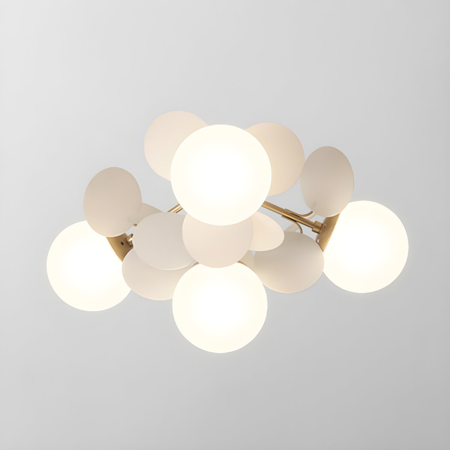 Rojisa Ceiling Light