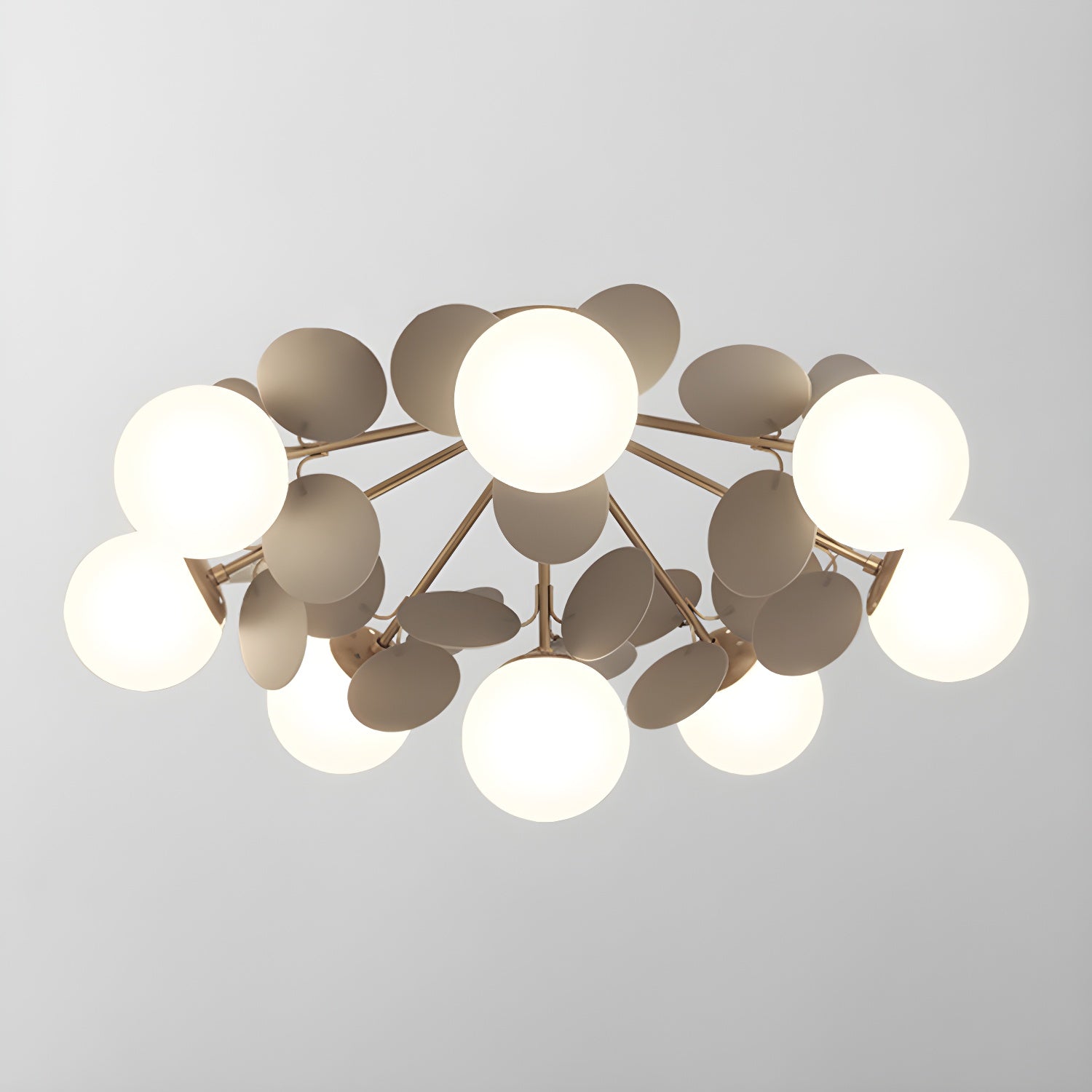 Rojisa Ceiling Light