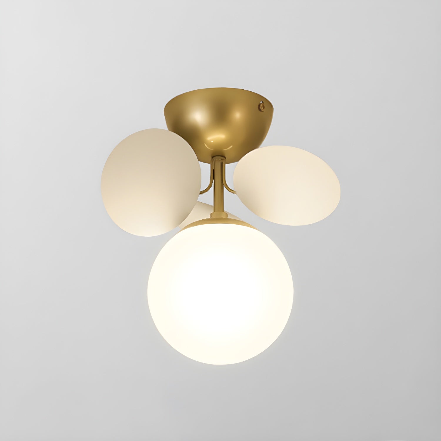 Rojisa Ceiling Light