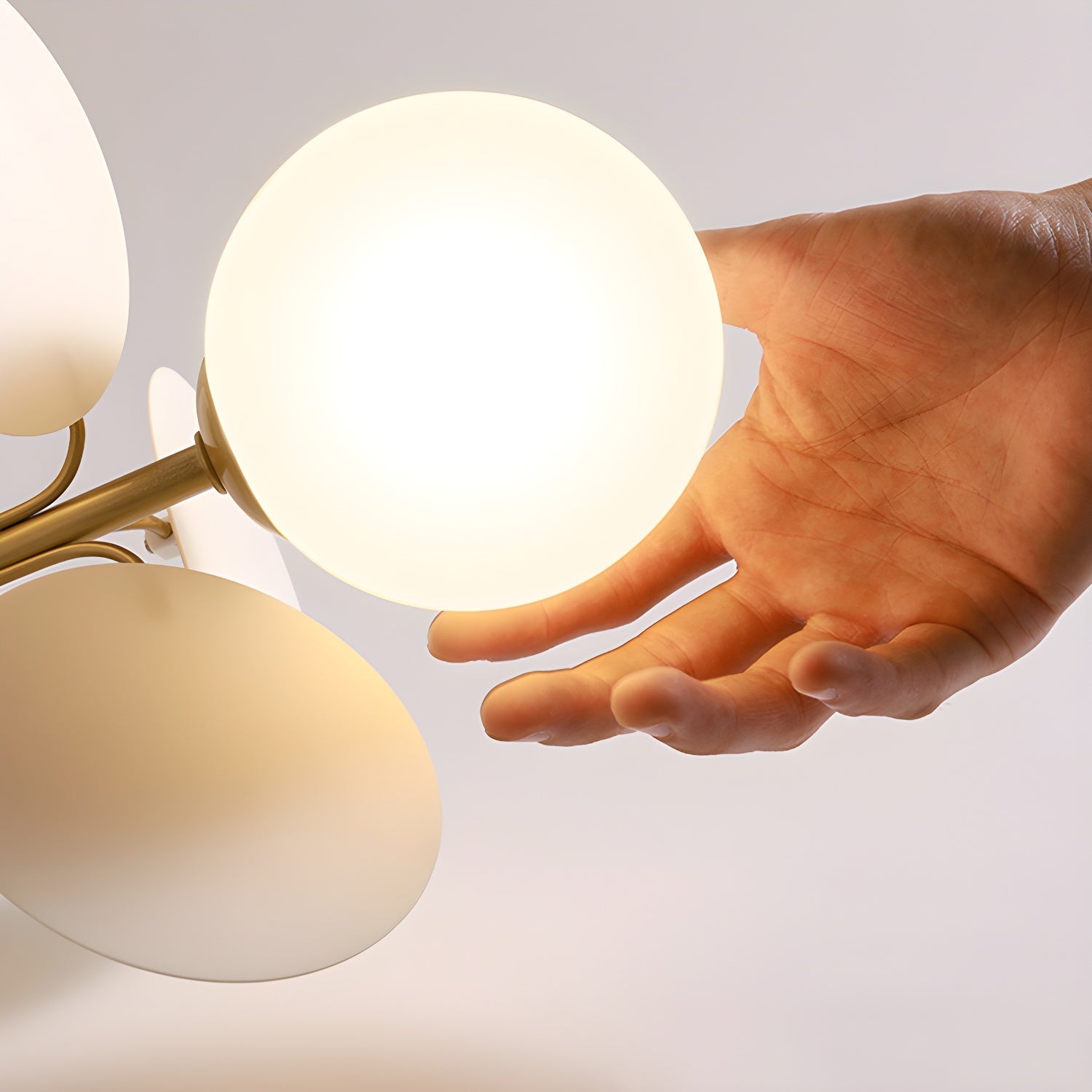 Rojisa Ceiling Light