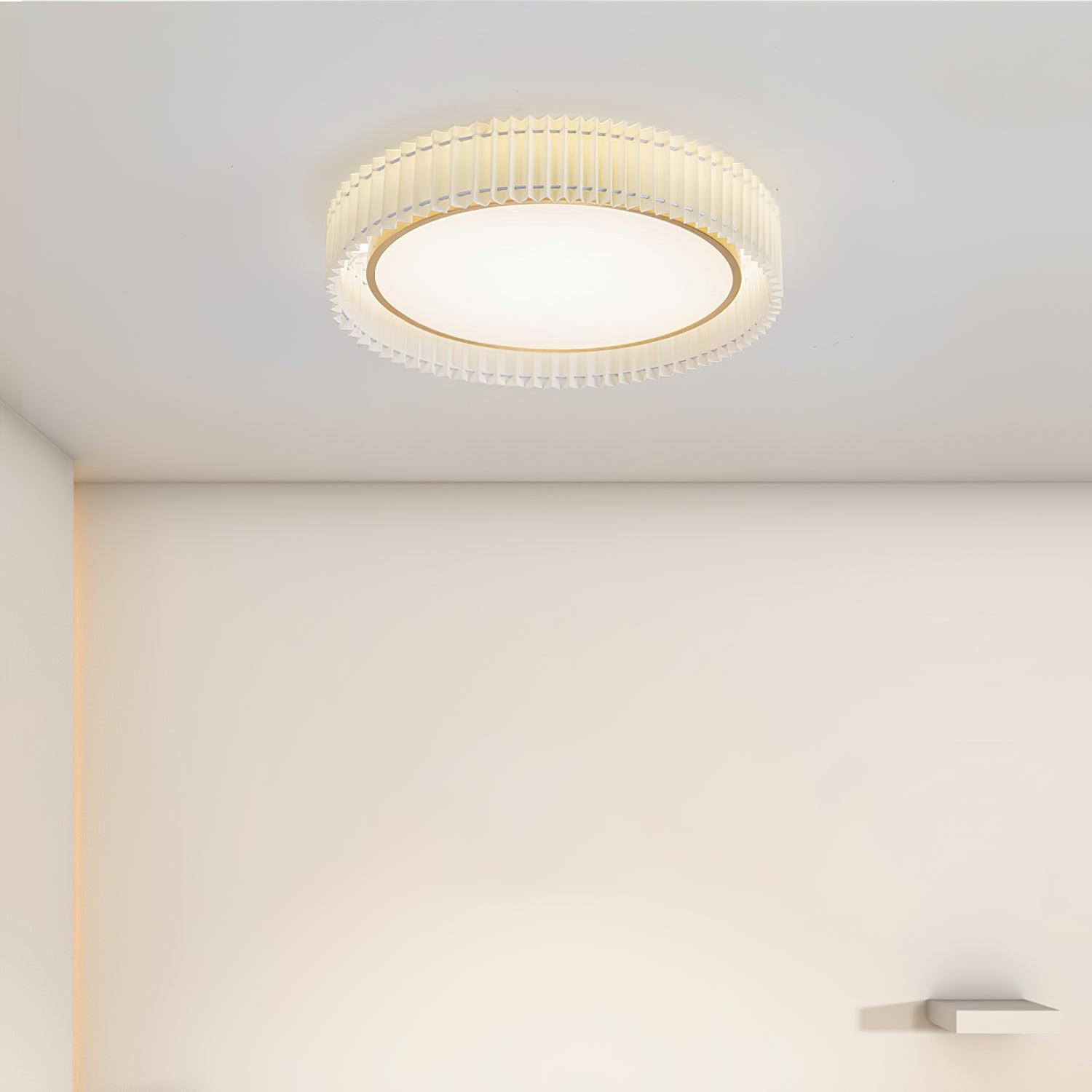 Pelzave Ceiling Light
