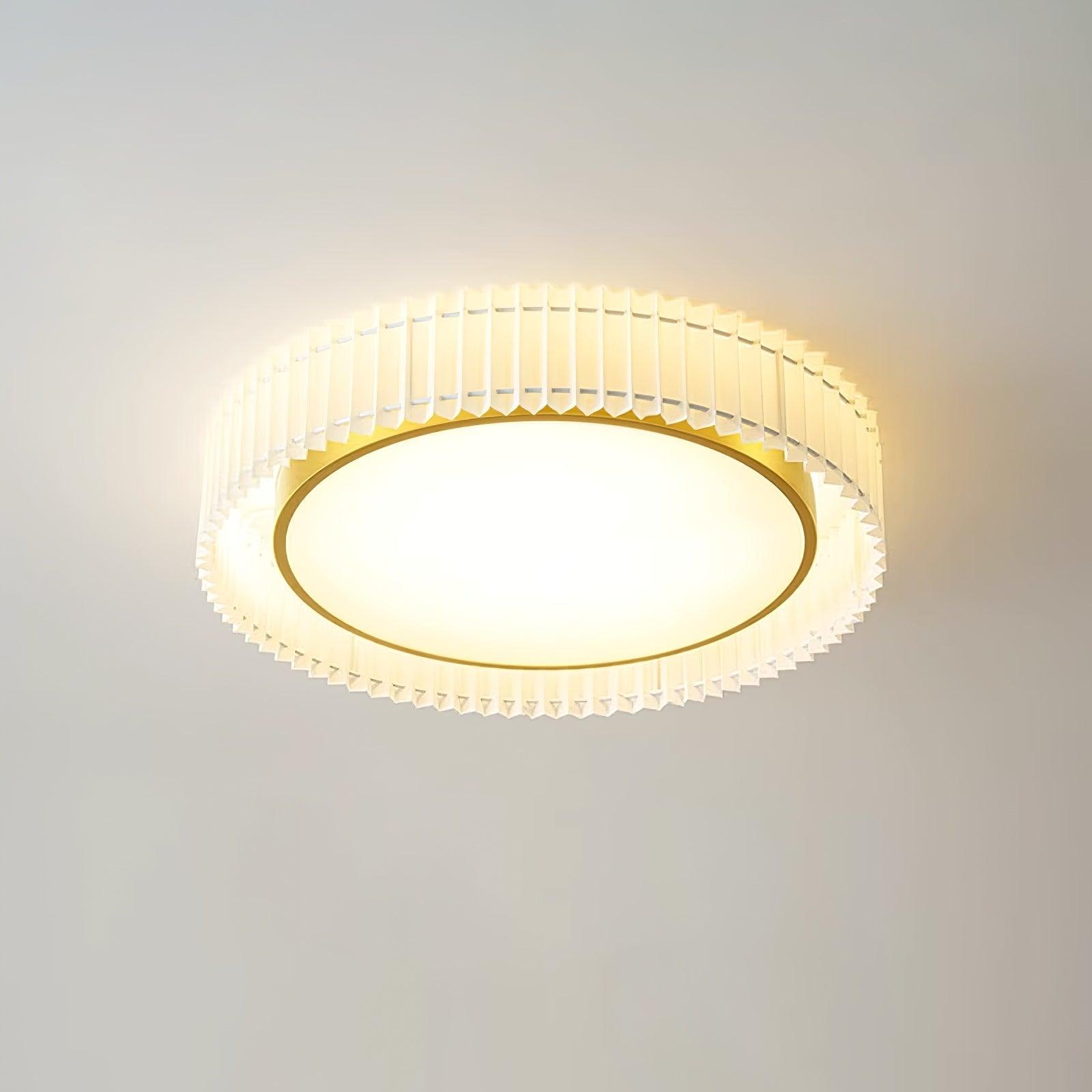 Pelzave Ceiling Light