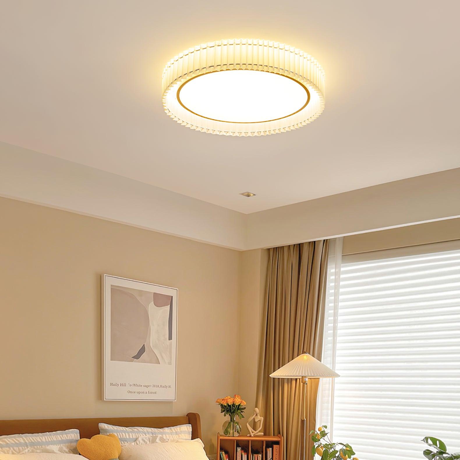 Pelzave Ceiling Light