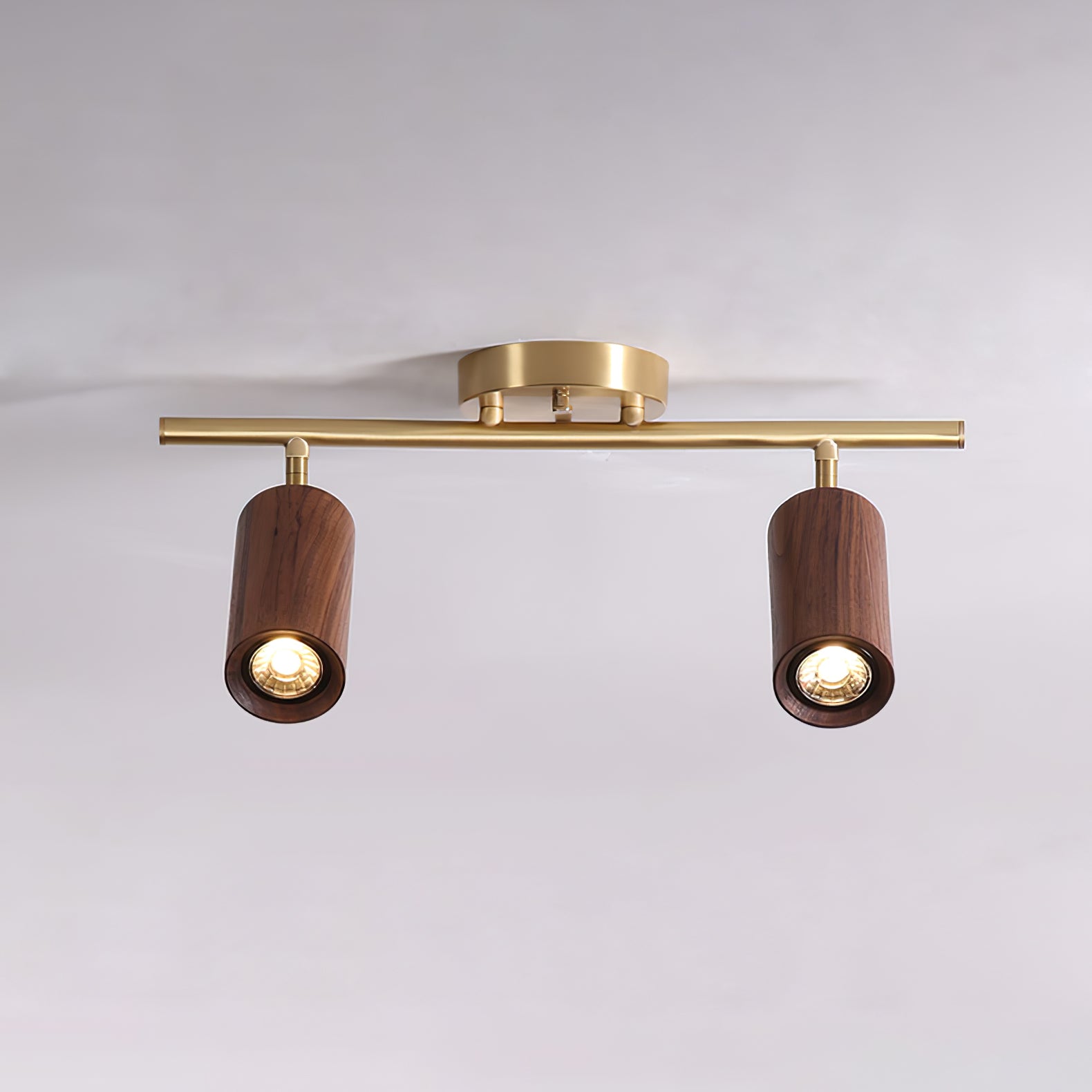 Romezan Ceiling Light
