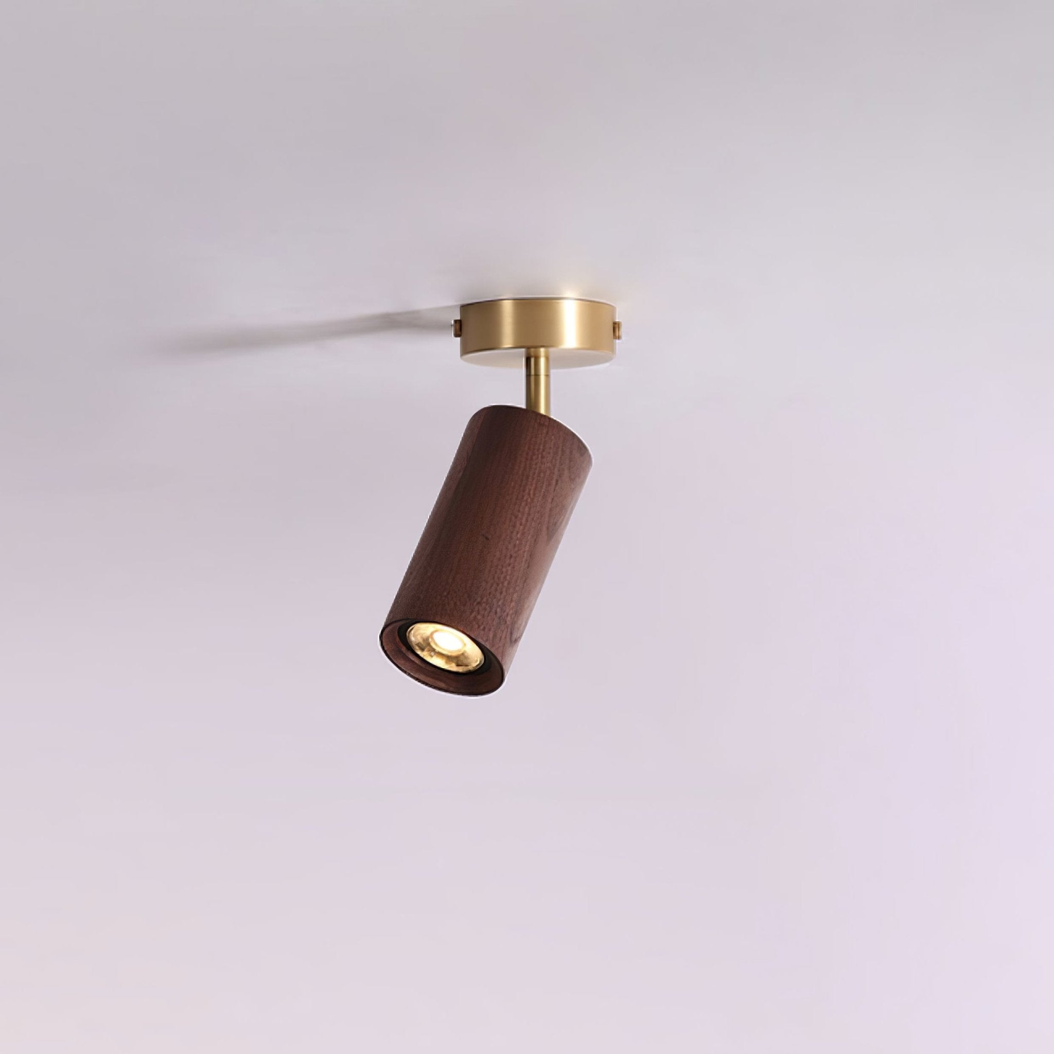 Romezan Ceiling Light