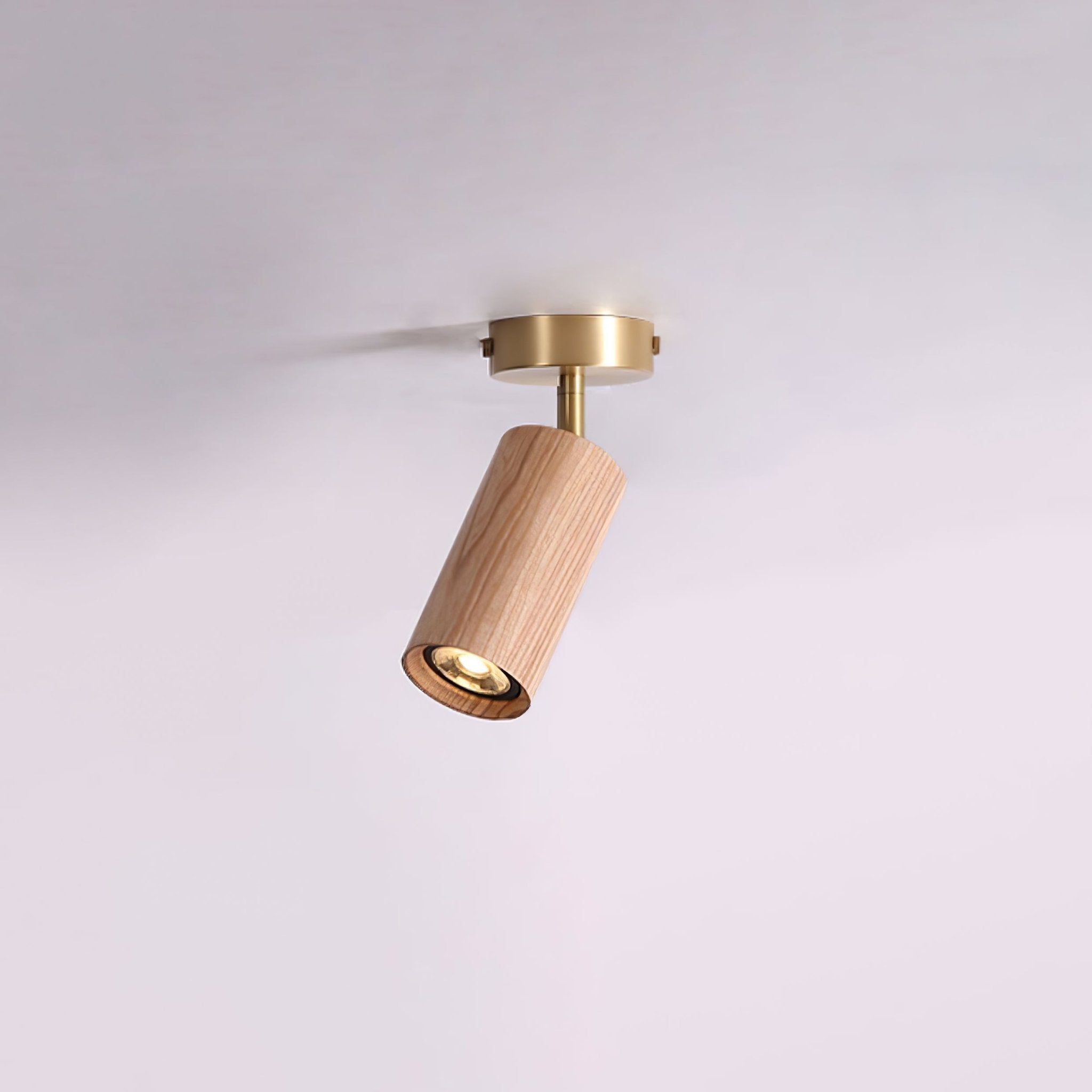 Romezan Ceiling Light