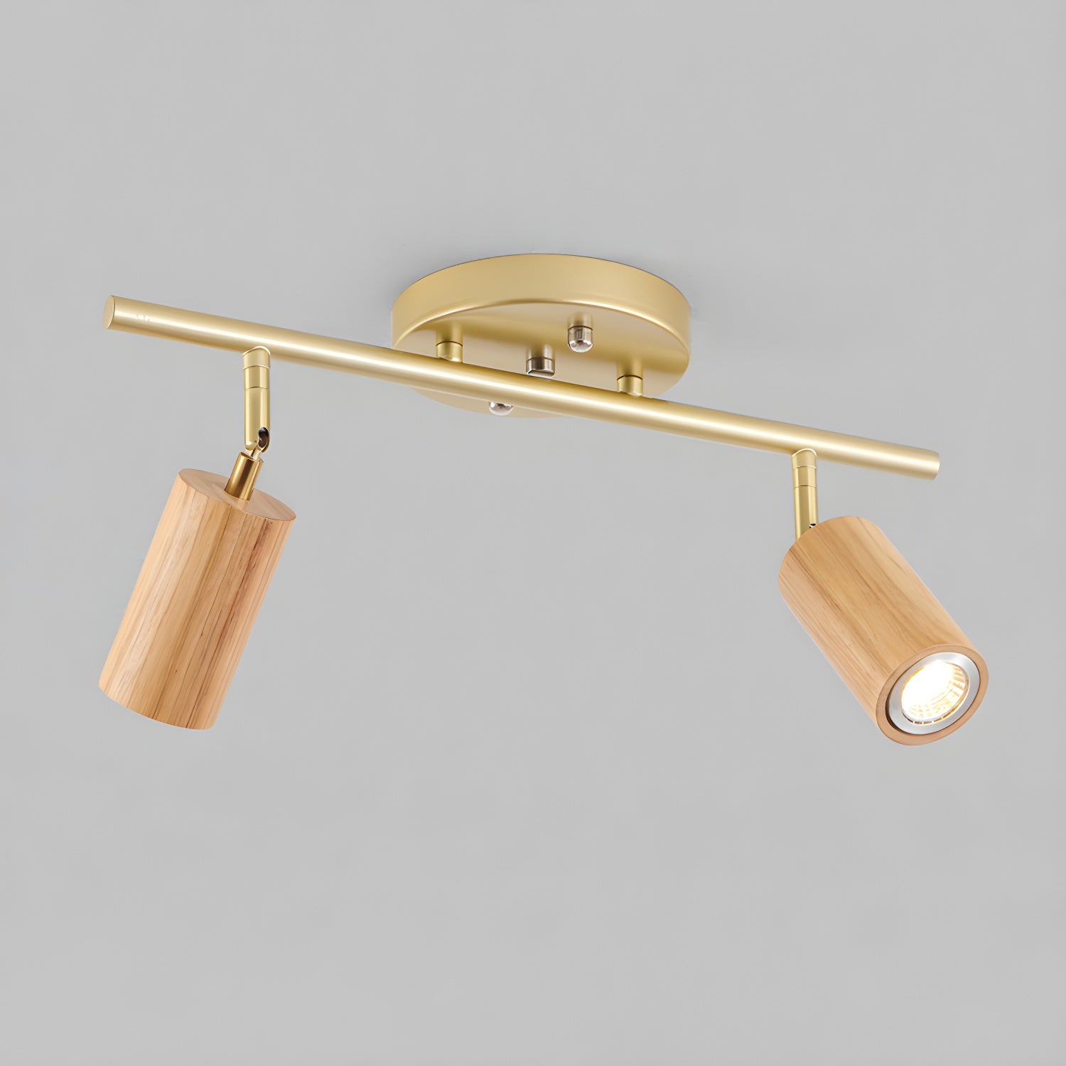 Romezan Ceiling Light