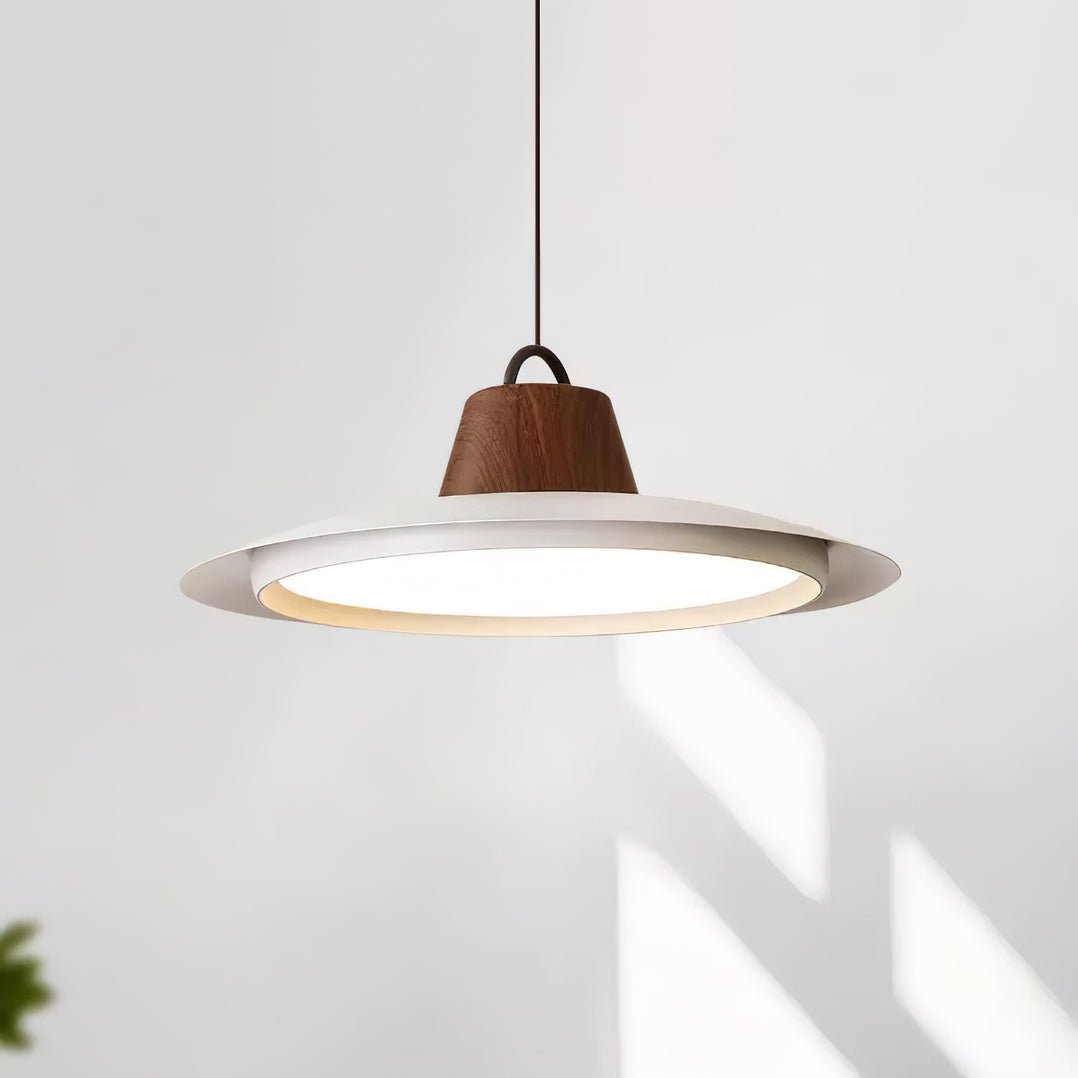 Ruilifo Pendant Light