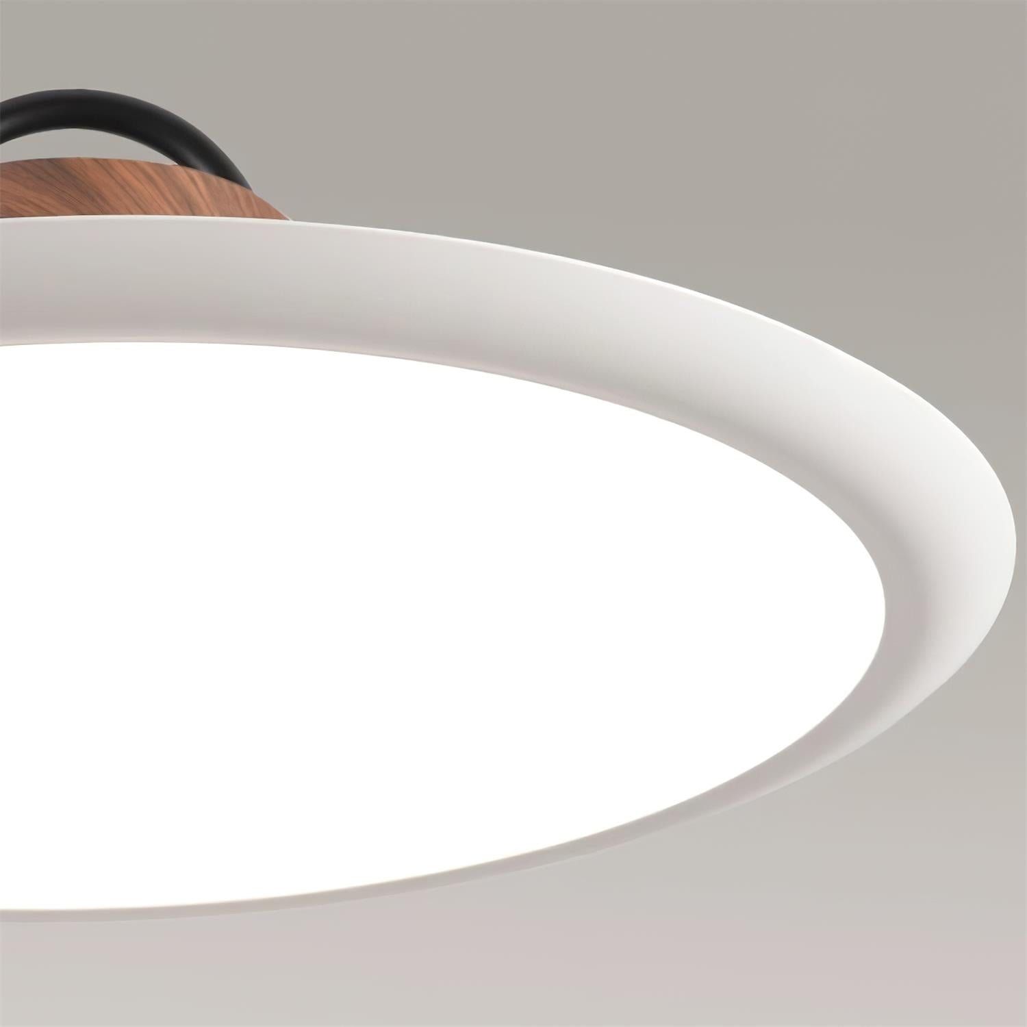 Ruilifo Pendant Light