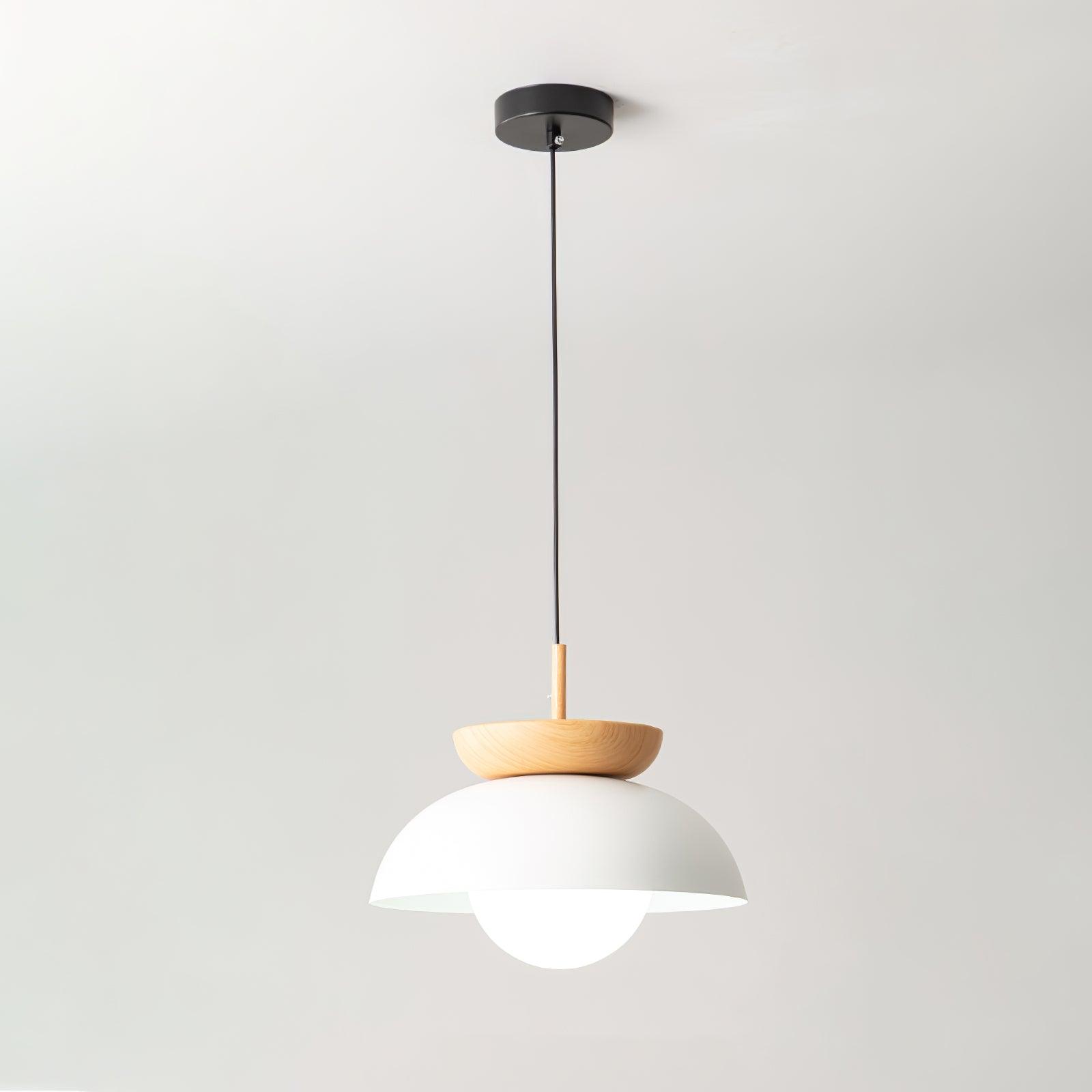 Solvesta Pendant Light