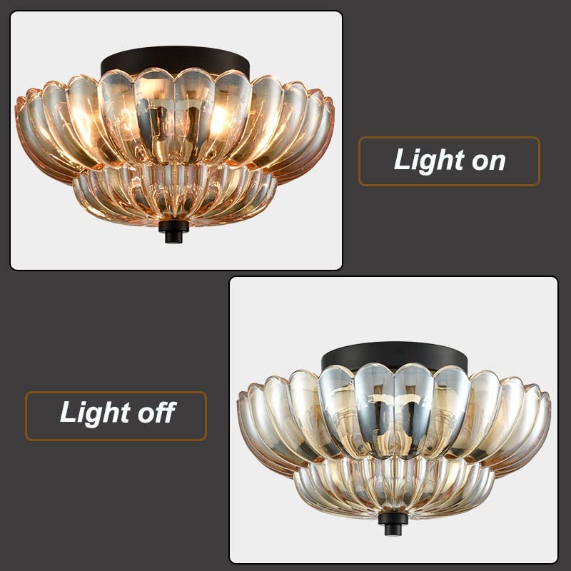 Zalines Ceiling Light
