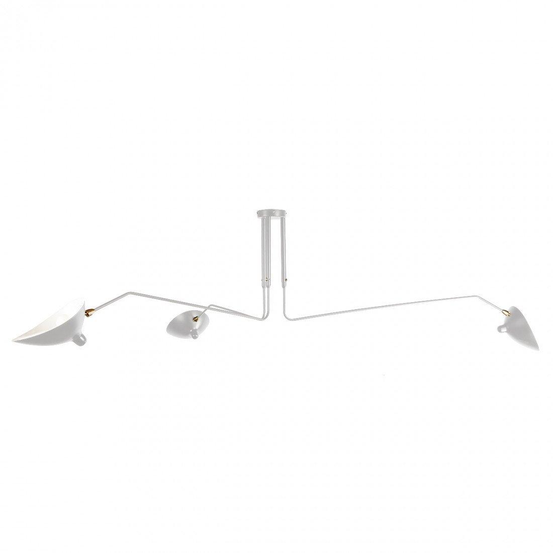 Meylizzo Ceiling Light