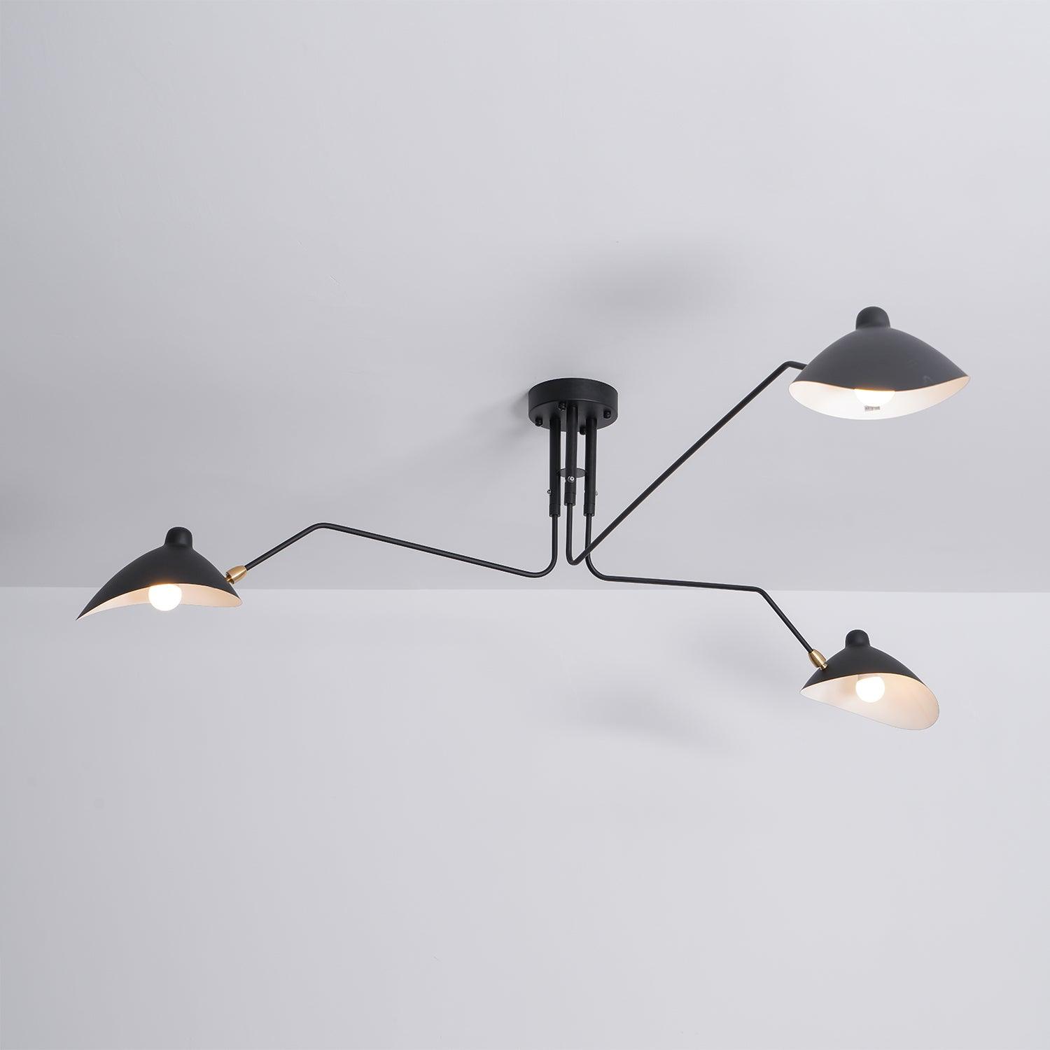 Meylizzo Ceiling Light