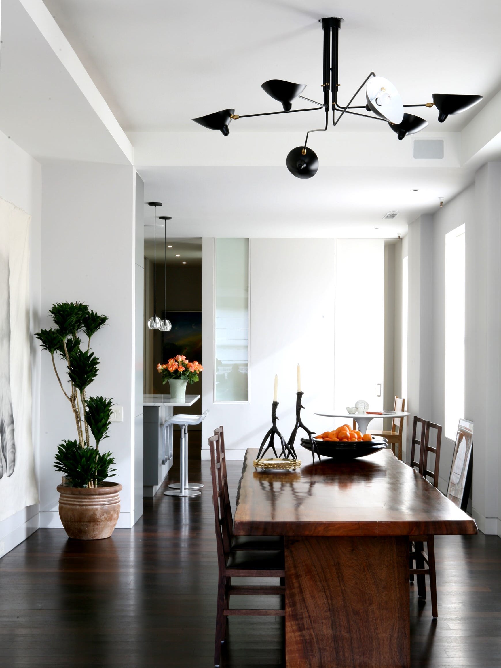 Perralay Spider Ceiling Light