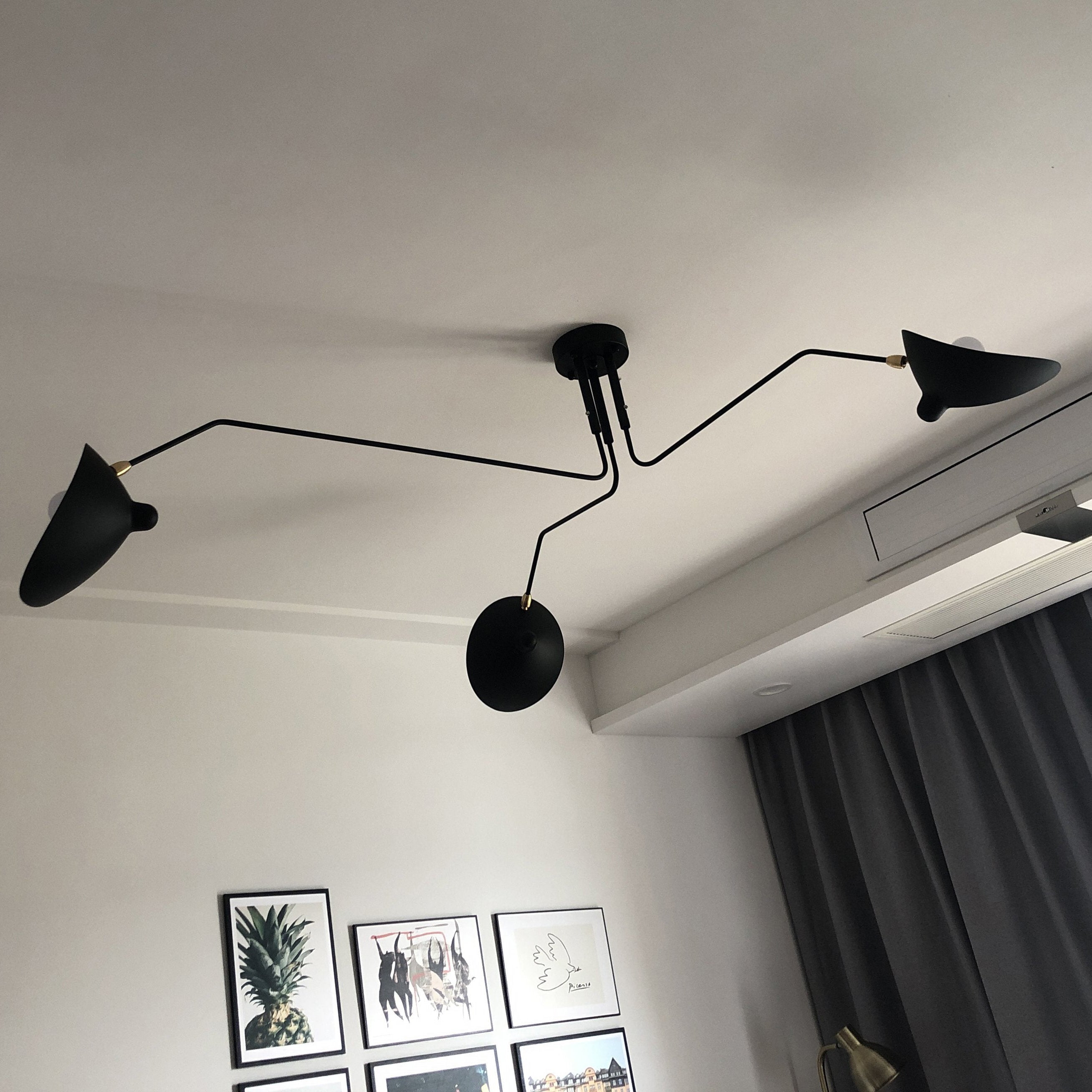 Meylizzo Ceiling Light
