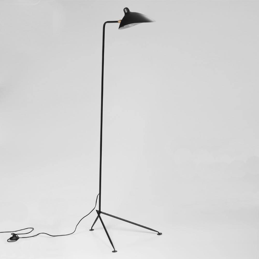 Molizon Floor Lamp