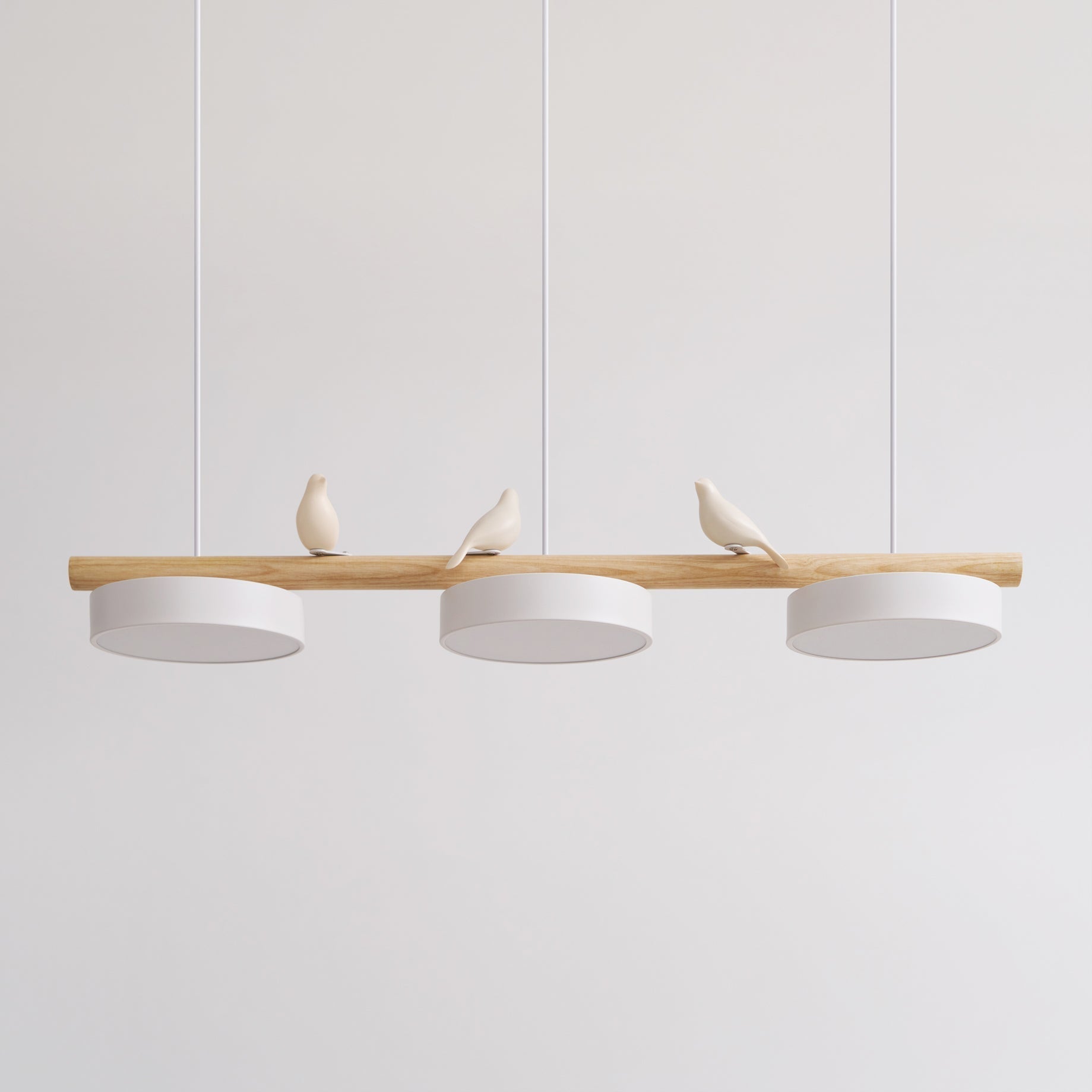 Ivyer Bird Pendant Light