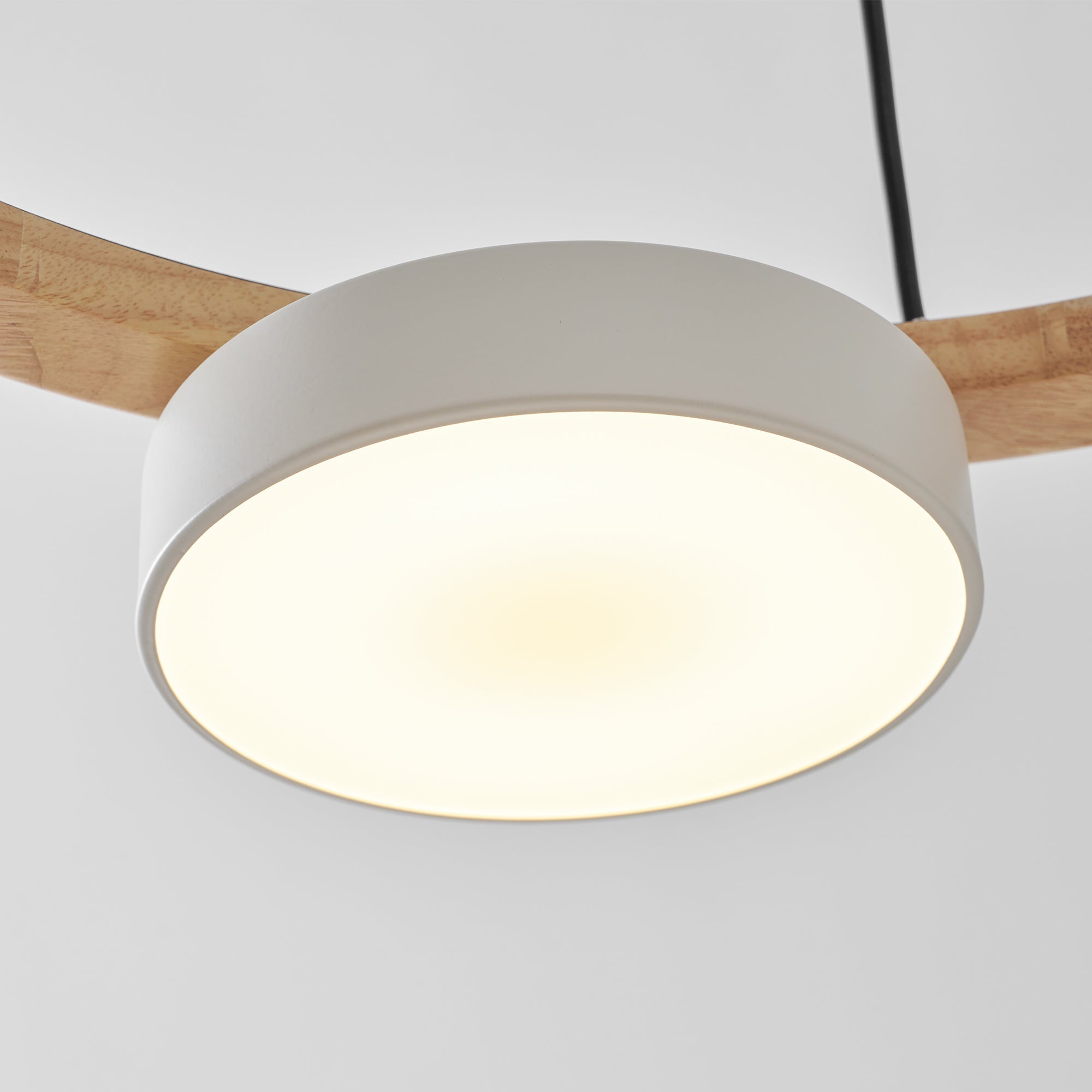 Paxar Round Pendant Light