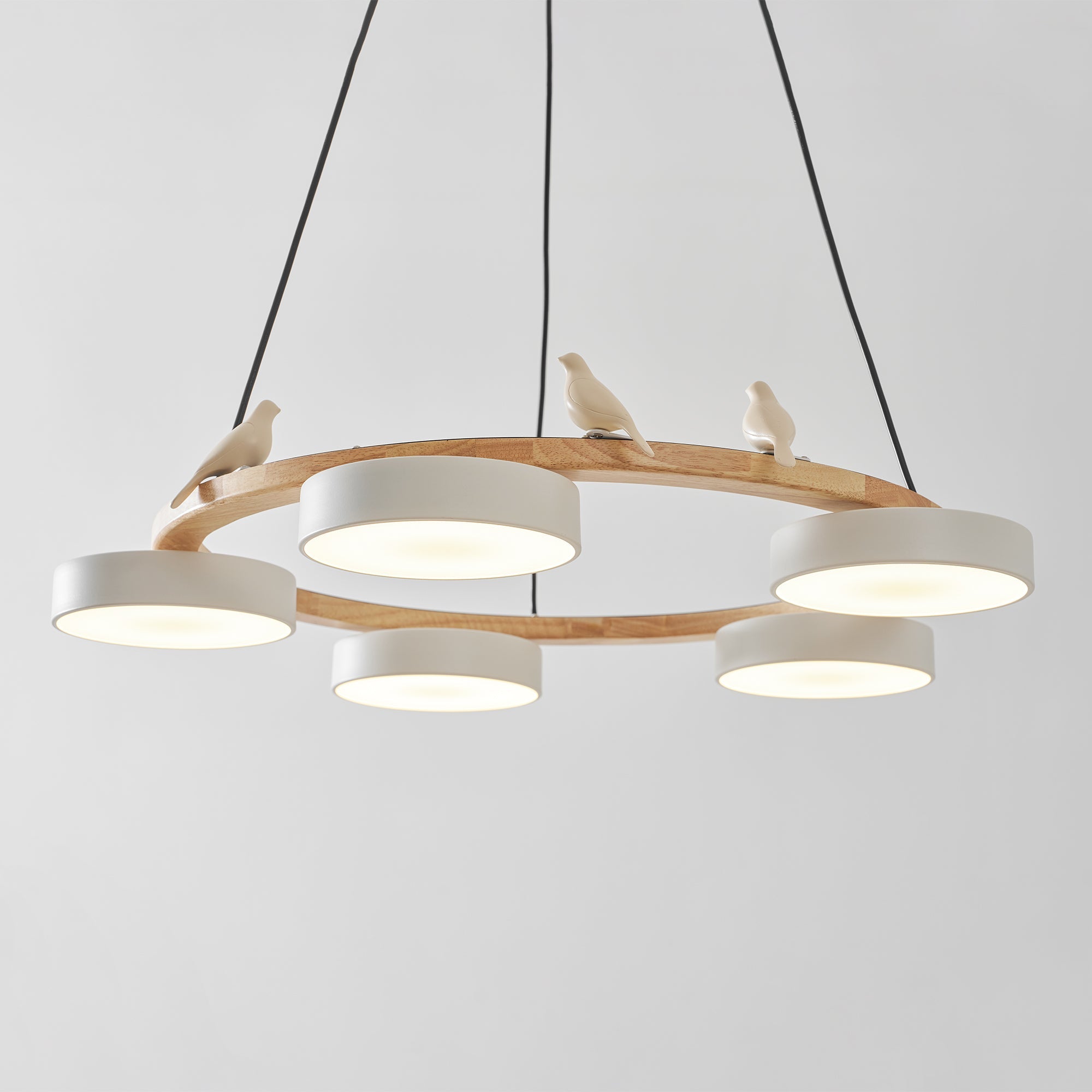 Paxar Round Pendant Light
