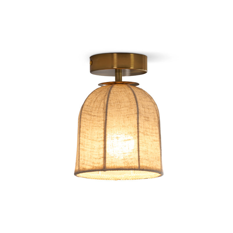 Paxvelar Ceiling Light