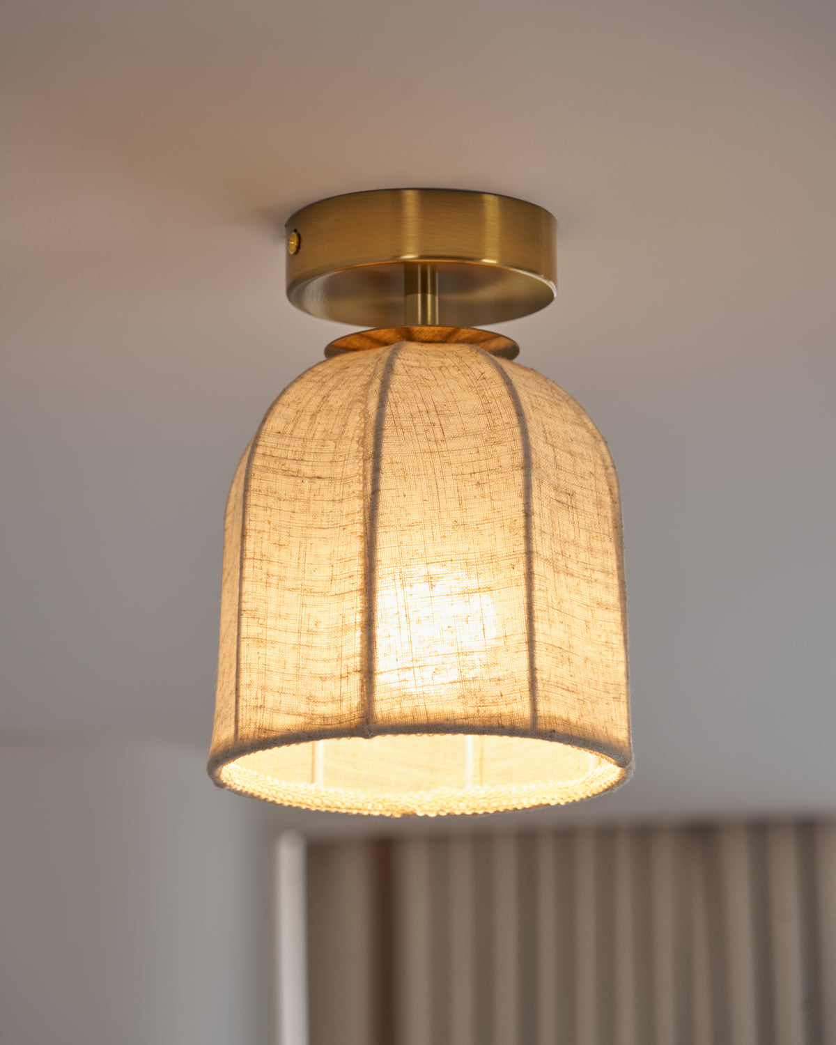 Paxvelar Ceiling Light