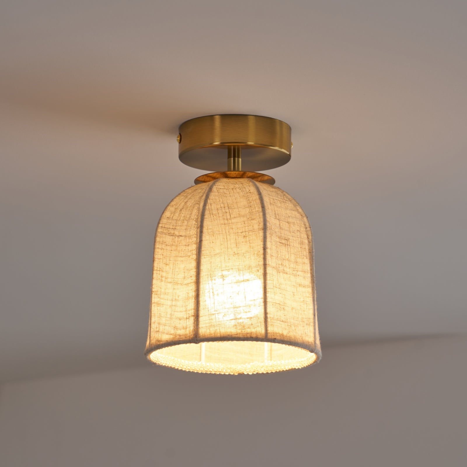 Paxvelar Ceiling Light