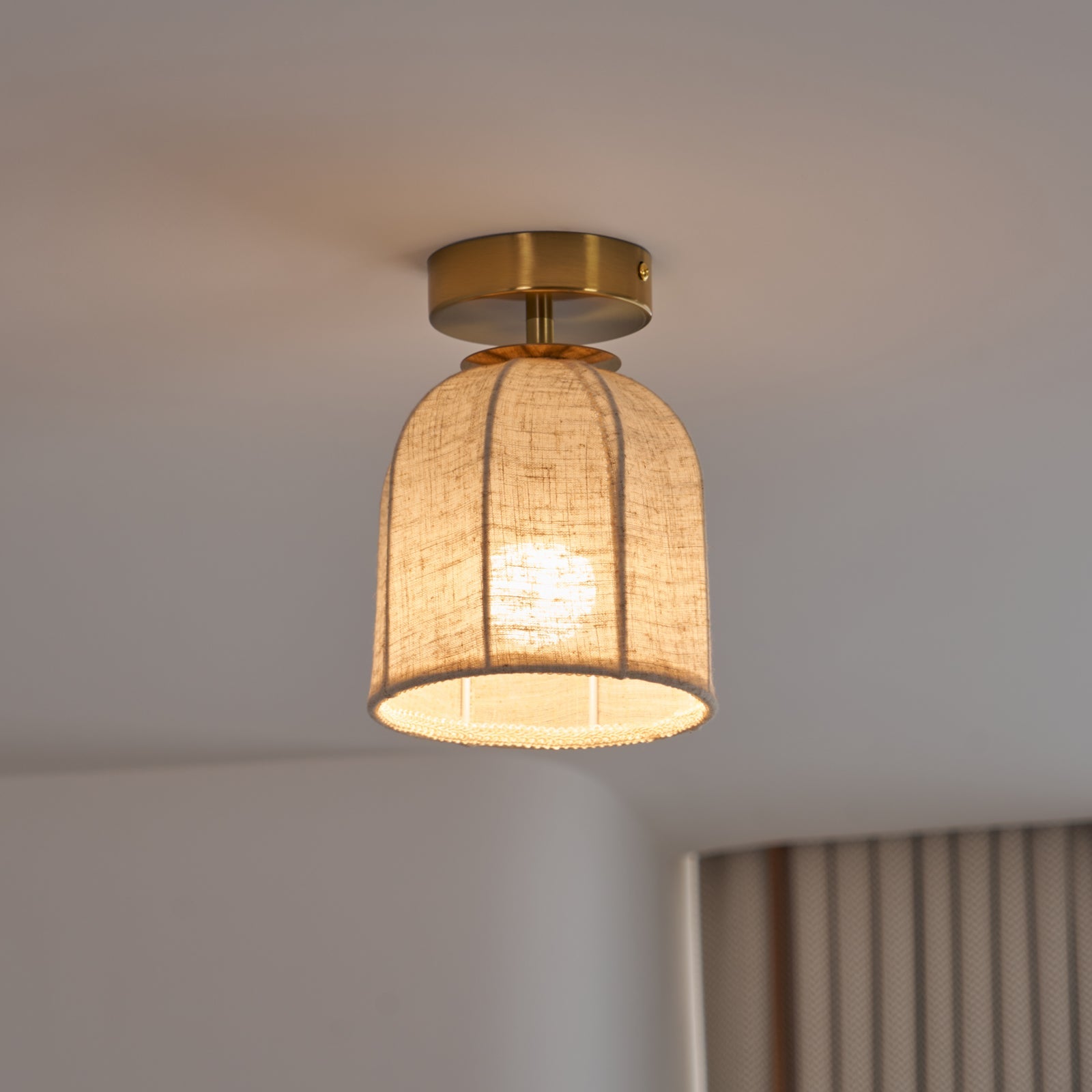 Paxvelar Ceiling Light