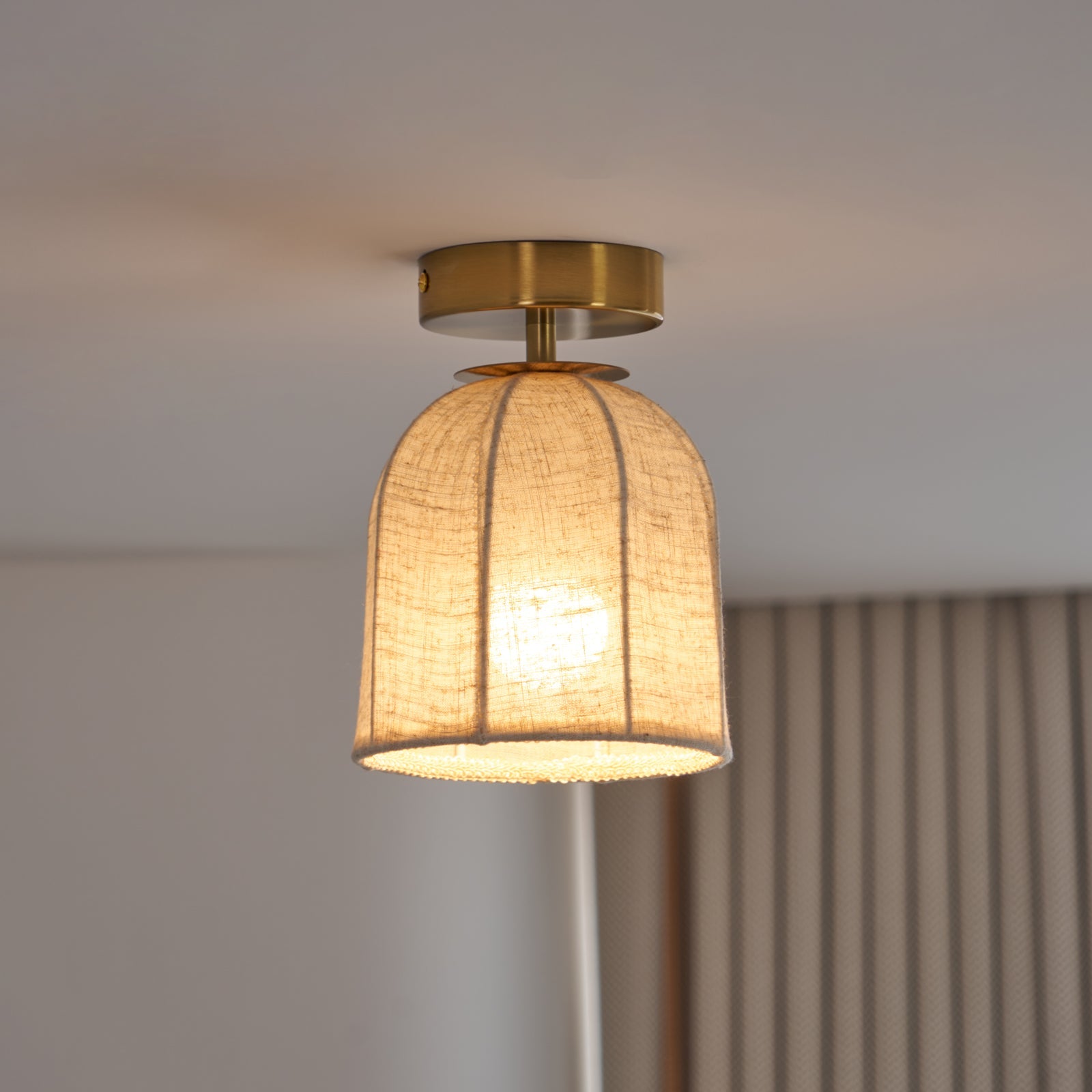Paxvelar Ceiling Light